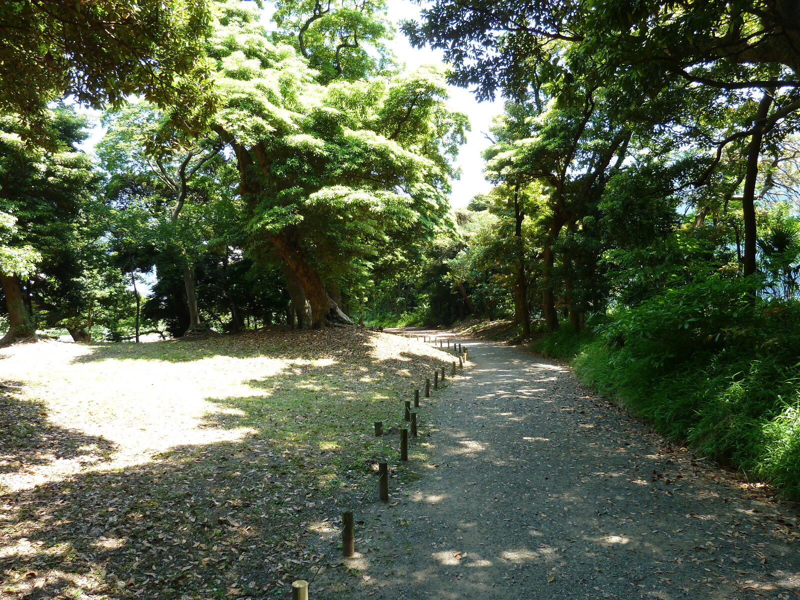 รูปถ่าย ญี่ปุ่น(Japan) โตเกียว(Tokyo) สวนฮามะริคิว(Hama rikyu Gardens) 2010-06 121