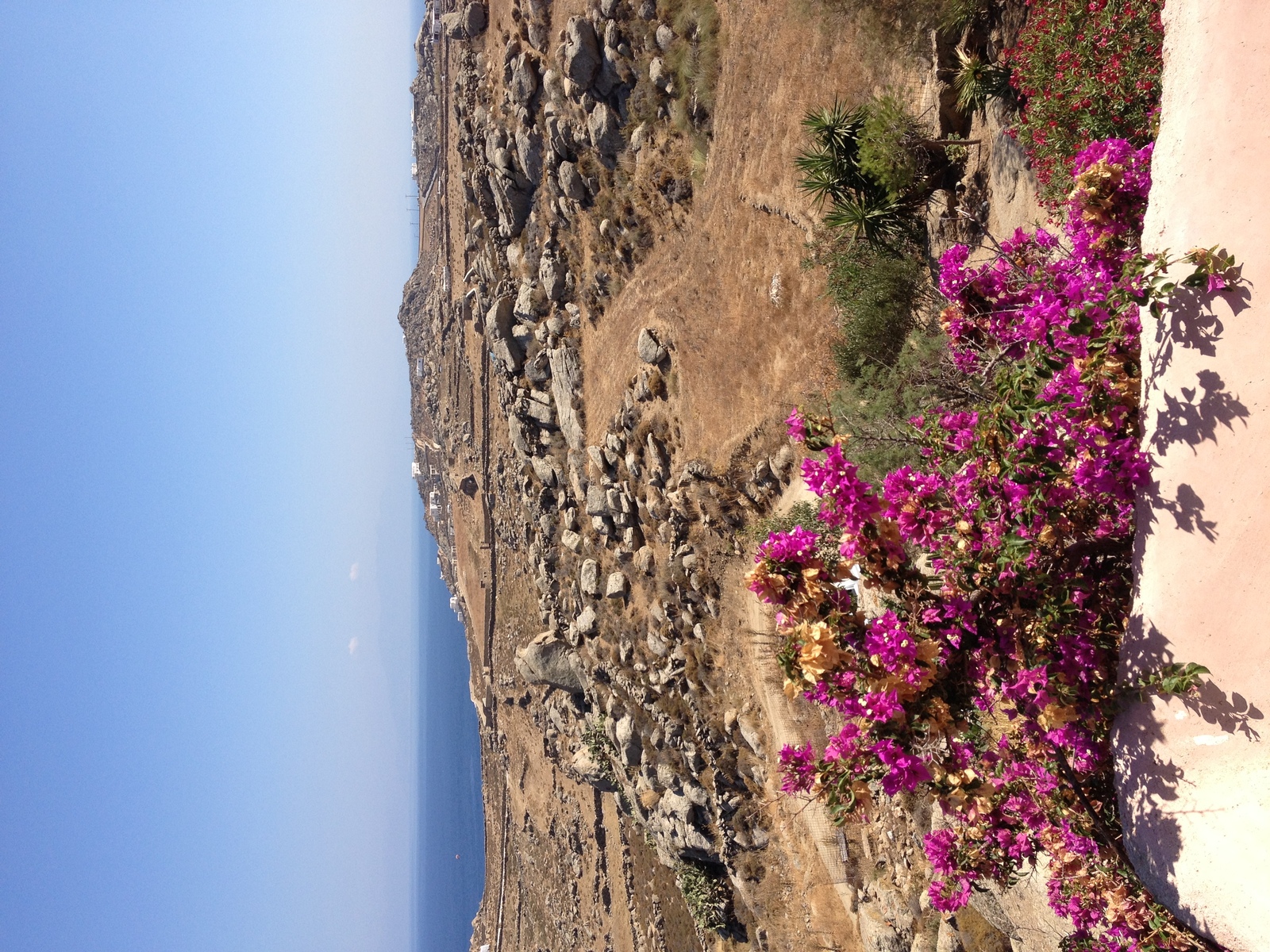 รูปถ่าย กรีก(Greece) เกาะมิโคนอส(Mykonos) 2014-07 67