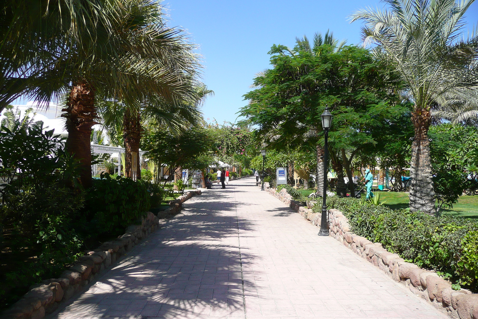 รูปถ่าย อียิปต์(Egypt) ชาร์มเอลชีค(Sharm el Sheikh) 2008-06 83