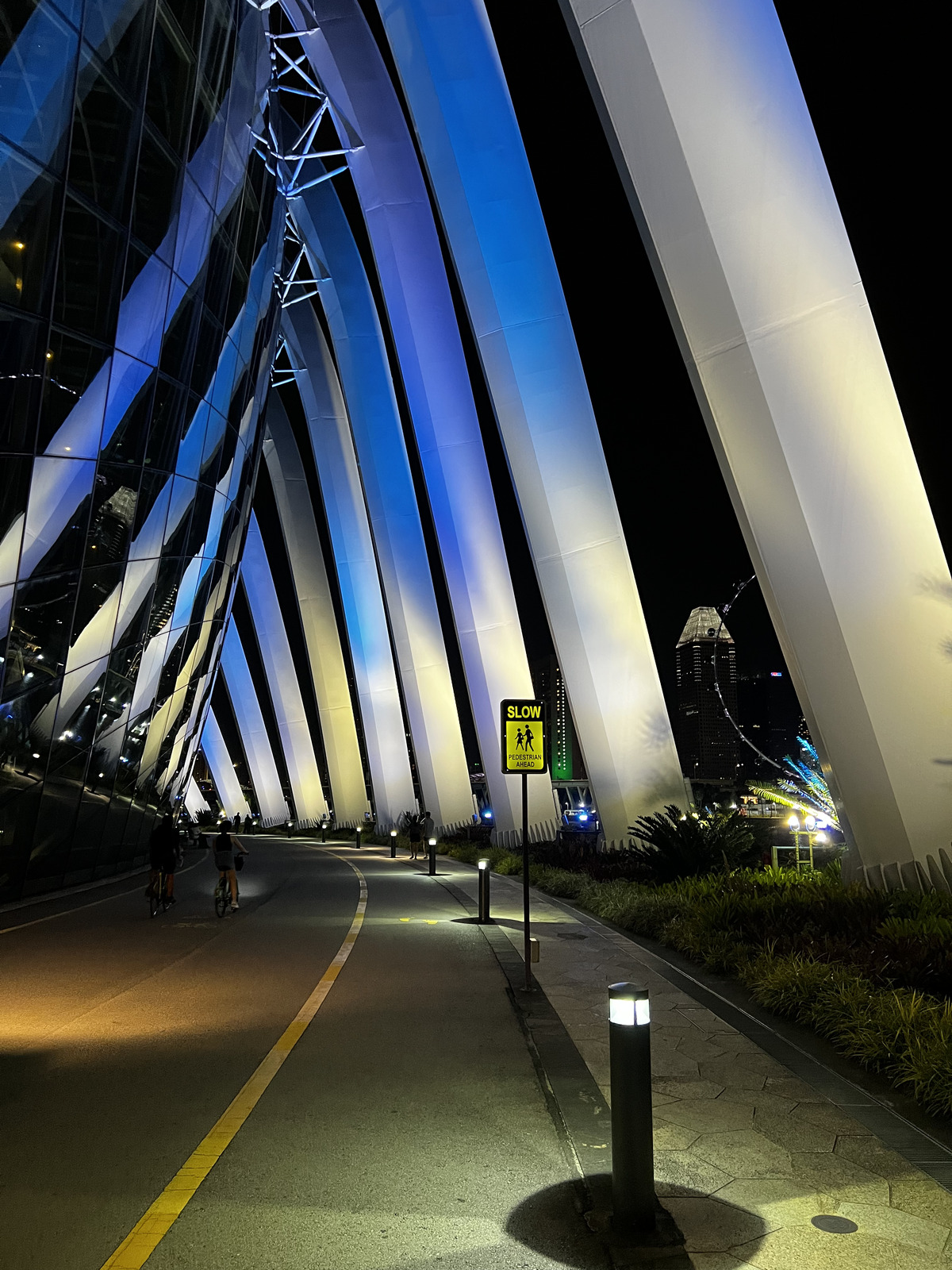 รูปถ่าย สิงคโปร์(Singapore) การ์เดนส์บายเดอะเบย์(Garden by the bay) 2023-01 26