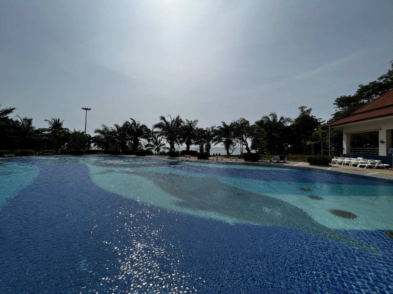 รูปถ่าย ไทย(Thailand) พัทยา(Pattaya) 2022-12 60