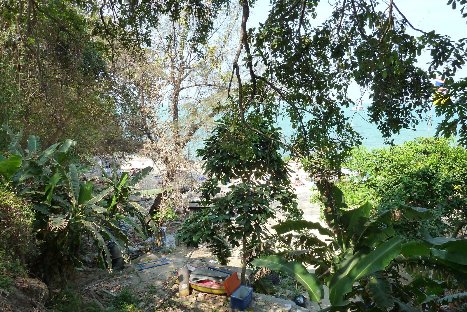 รูปถ่าย ไทย(Thailand) พัทยา(Pattaya) หาดโคซี่(Cosy Beach) 2011-01 77