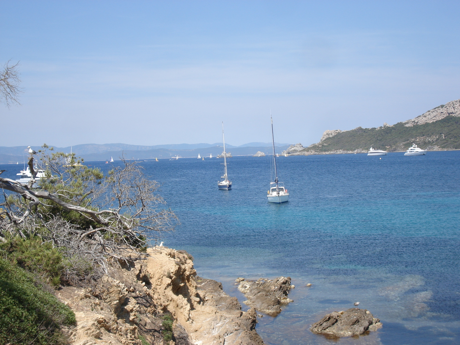 รูปถ่าย ฝรั่งเศส(France) เกาะปอร์เกอรอล(Porquerolles Island) 2006-06 86