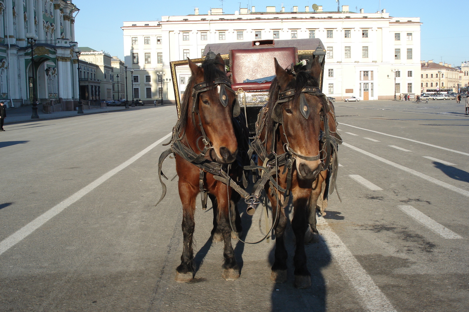 รูปถ่าย รัสเซีย(Russia) เซนต์ปีเตอร์สเบิร์ก(St Petersburg) เฮอมิตาท(Hermitage) 2006-03 26