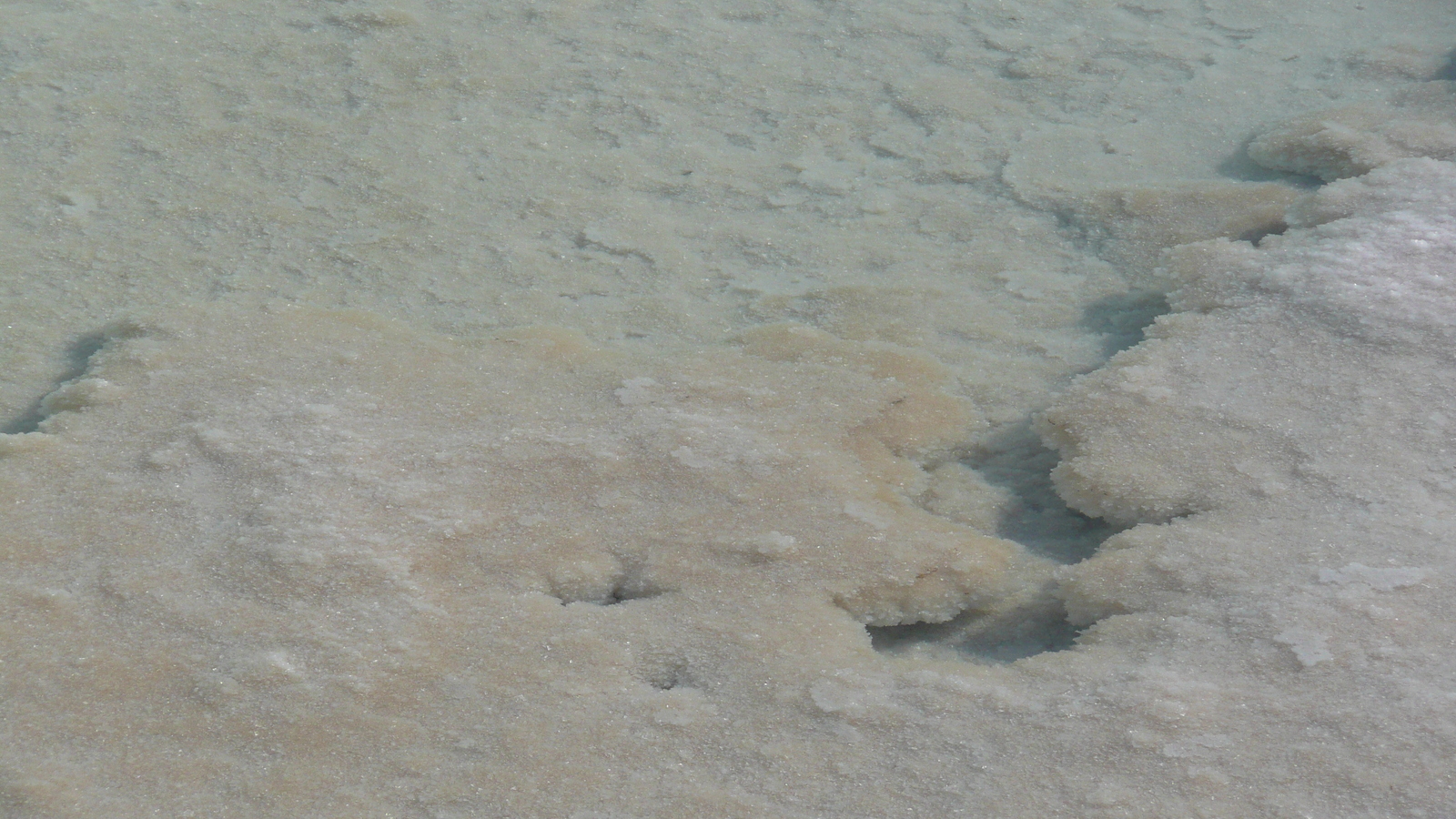 รูปถ่าย อิสราเอล(Israel) อึนโบเกก(Boqeq) 2007-06 123