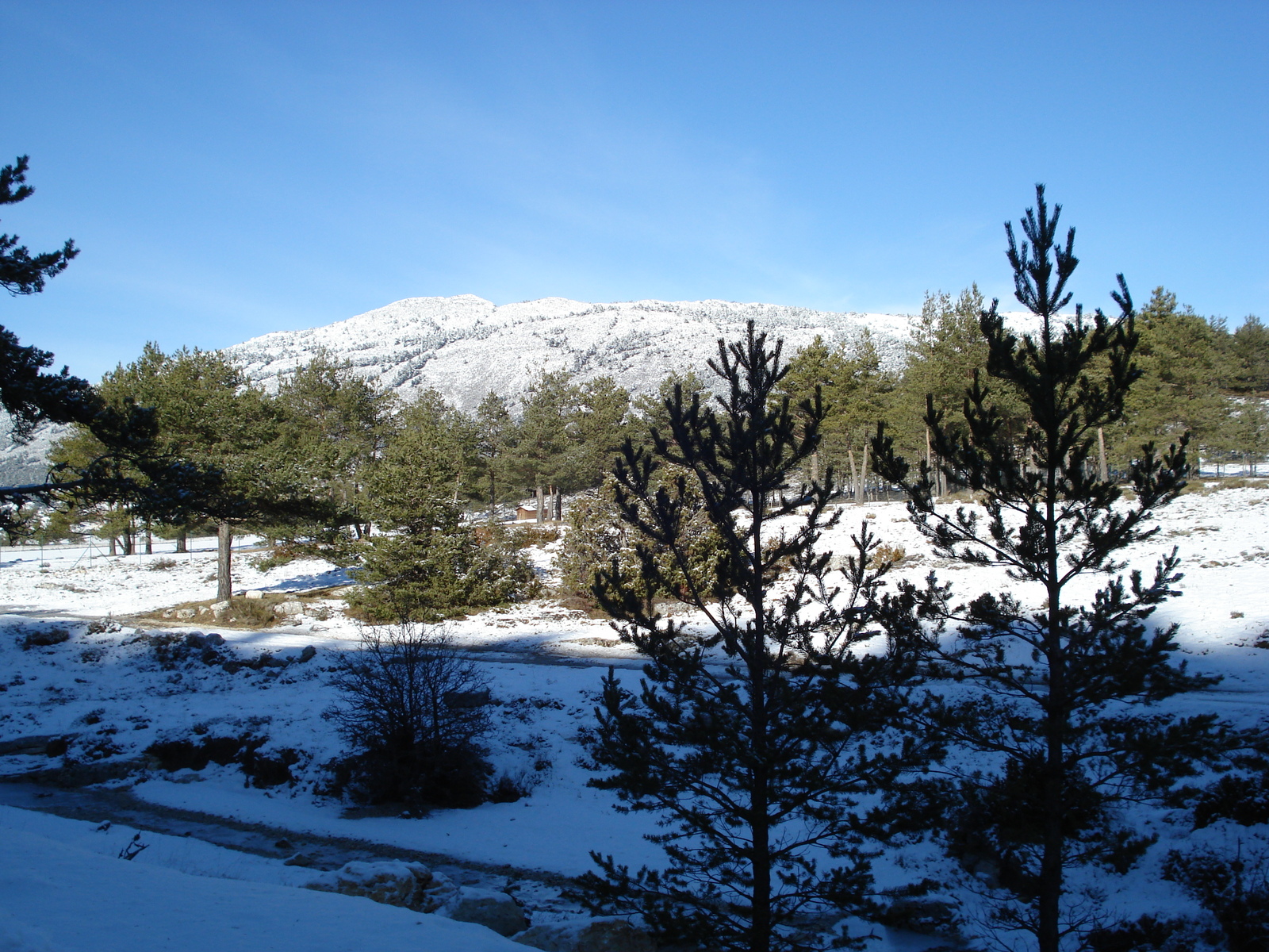 รูปถ่าย ฝรั่งเศส(France) ถนนจากกูร์เซกูลไปเกรโอลีแยร์-เล-เนจ(Coursegoule to Greolieres les neiges road) 2007-01 14