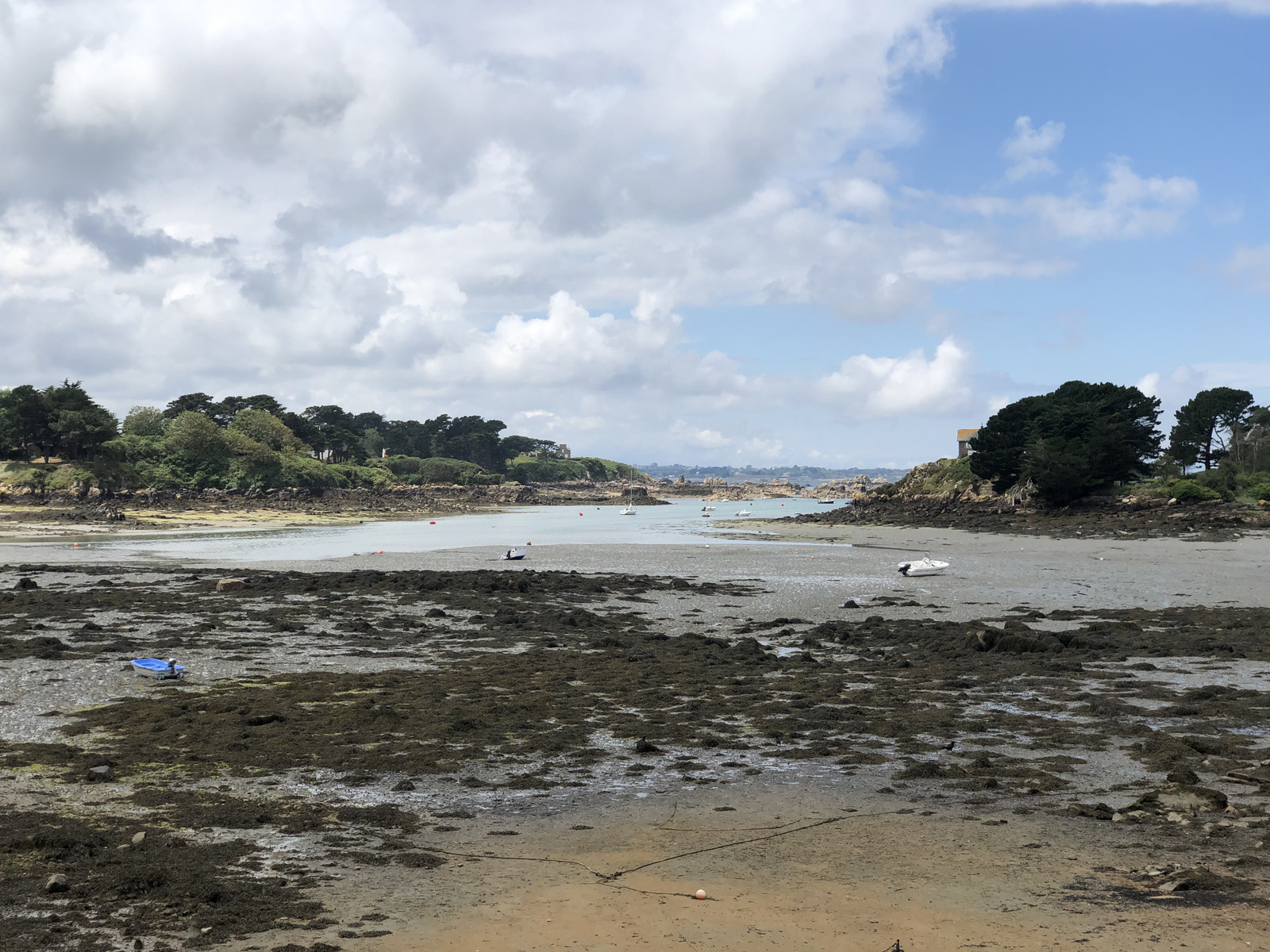 รูปถ่าย ฝรั่งเศส(France) เกาะเบรอา(Brehat Island) 2020-06 220