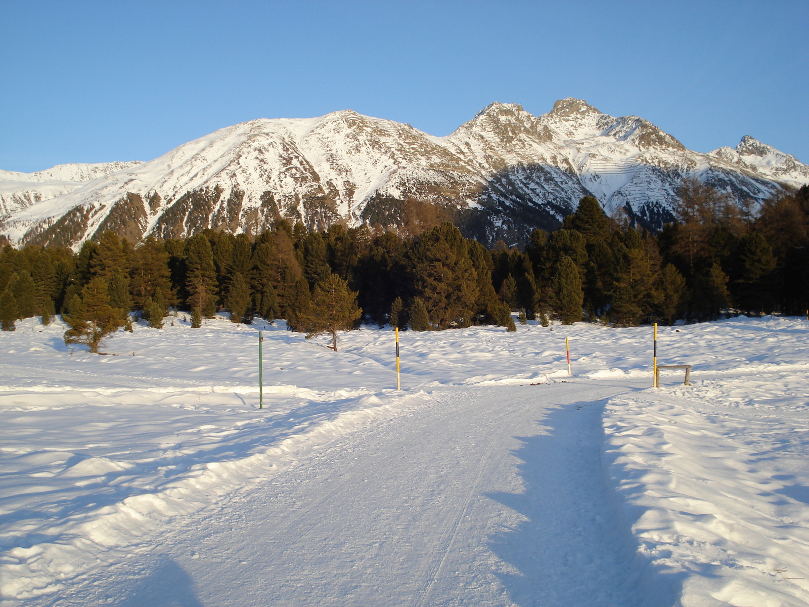 รูปถ่าย สวิสเซอร์แลนด์(Switzerland) เซนต์มอริตซ์ ชลาริญญา(St Moritz Schlarigna) 2007-01 84