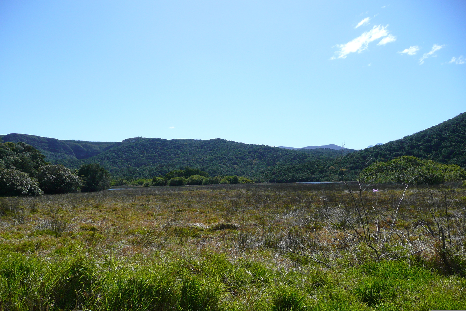 รูปถ่าย แอฟริกาใต้(South Africa) หุบเขาเนเจอร์ส(Nature's Valley) 2008-09 4
