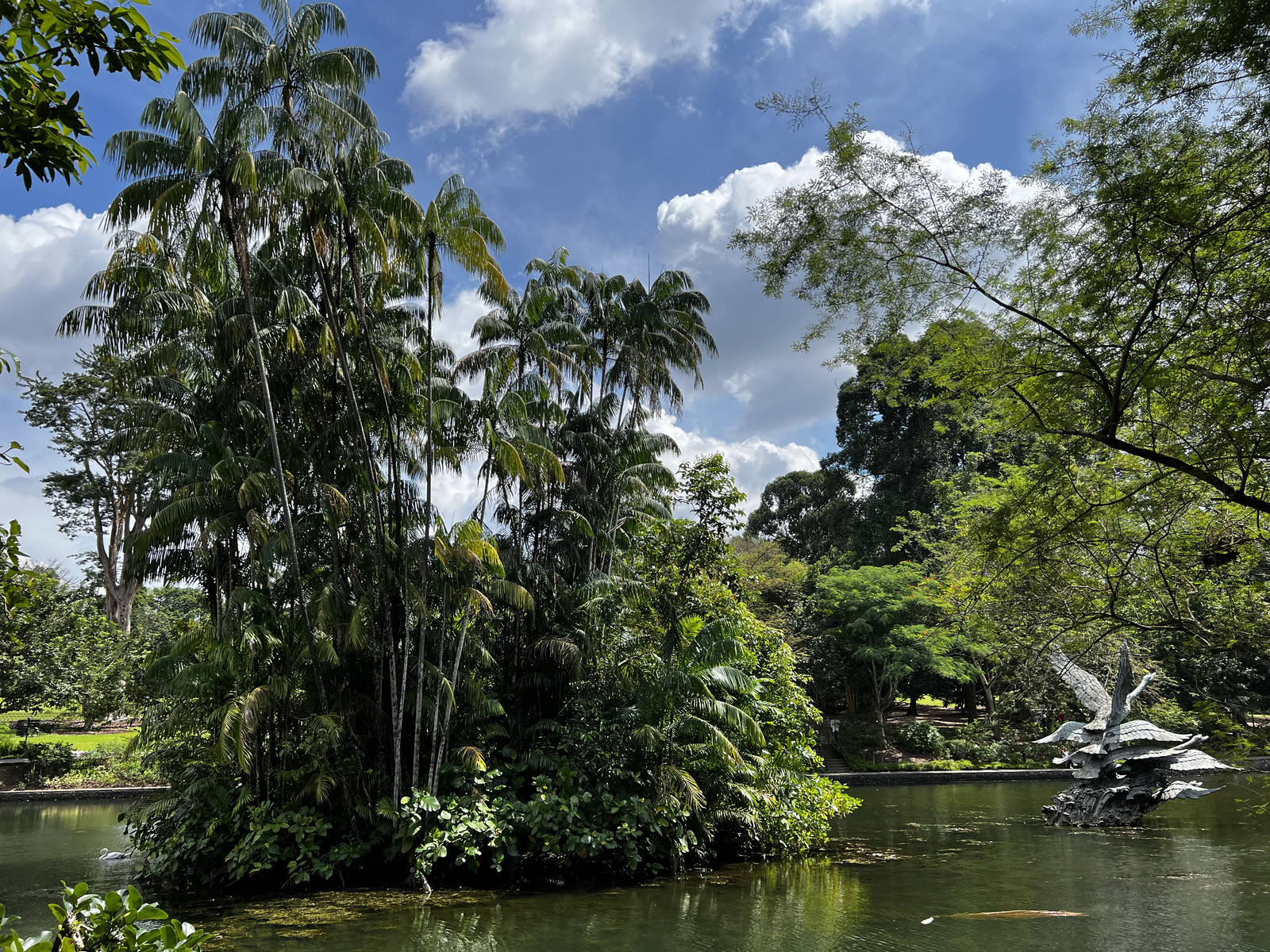 รูปถ่าย สิงคโปร์(Singapore) สวนพฤกษศาสตร์สิงคโปร์(Singapore Botanic Gardens) 2023-01 15