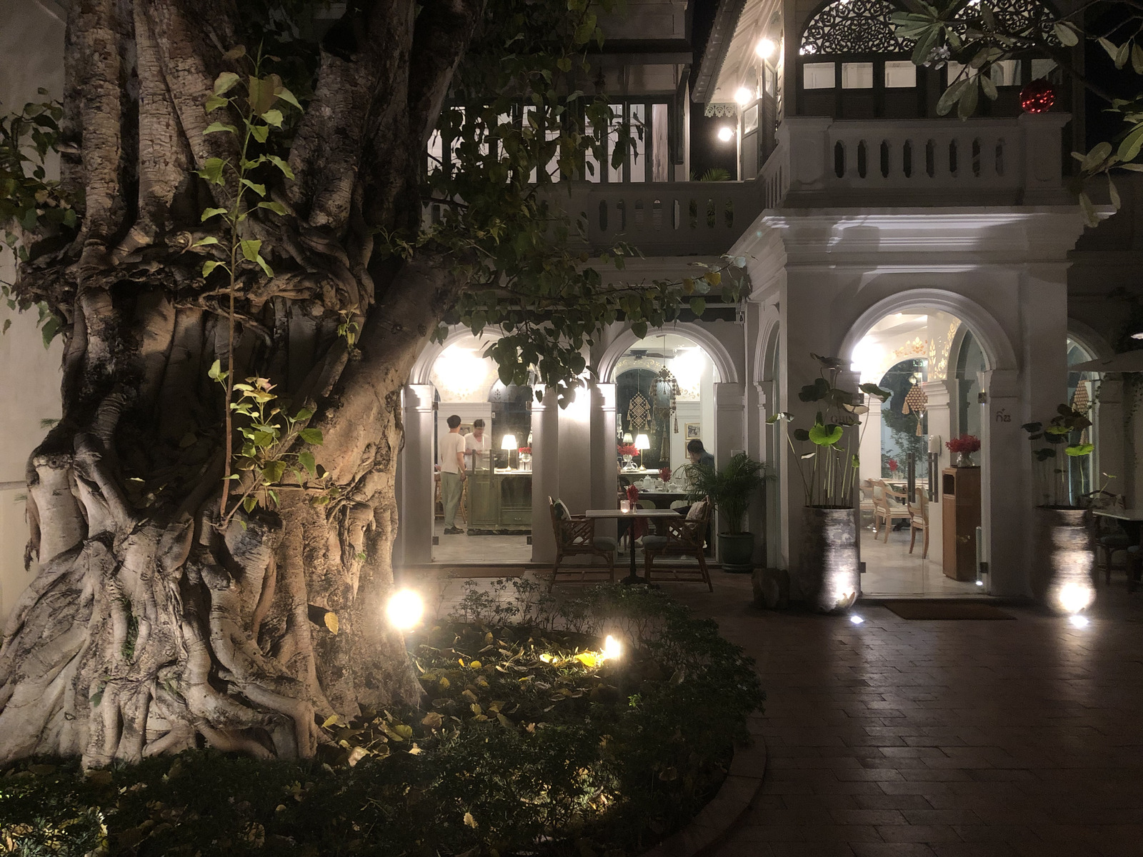 รูปถ่าย ไทย(Thailand) เชียงใหม่(Chiang Mai) 2024-01 146