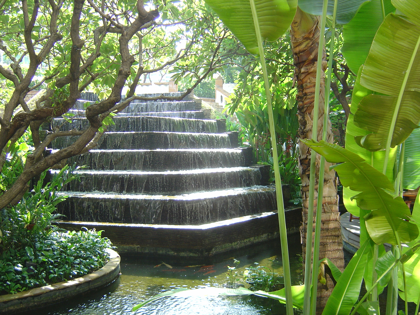รูปถ่าย ไทย(Thailand) กรุงเทพมหานคร(Bangkok) โรงแรมดุสิตธานี(Dusit Tani Hotel) 2005-12 20