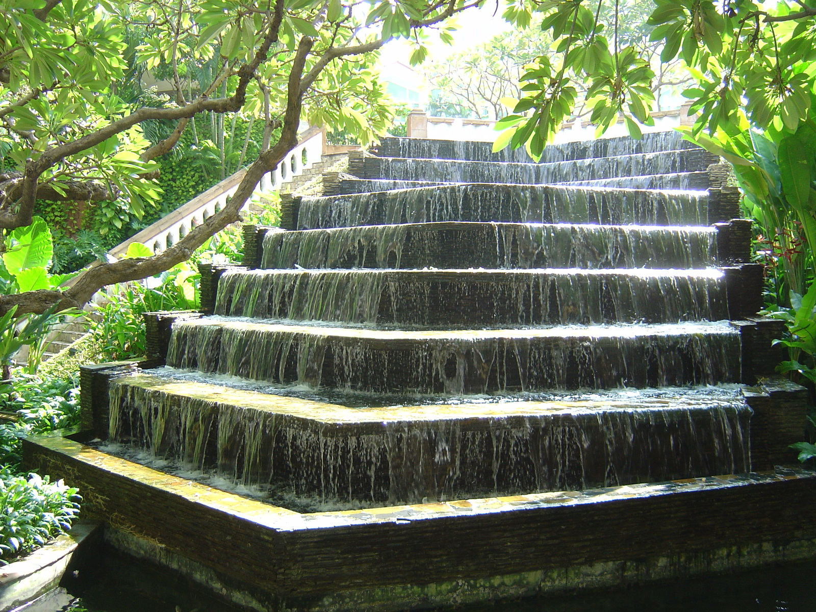 รูปถ่าย ไทย(Thailand) กรุงเทพมหานคร(Bangkok) โรงแรมดุสิตธานี(Dusit Tani Hotel) 2005-12 21