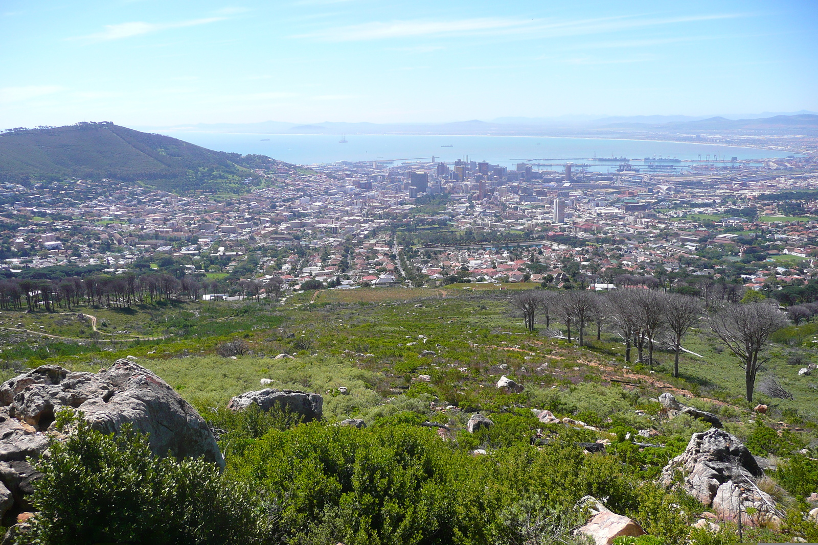 รูปถ่าย แอฟริกาใต้(South Africa) เคปทาวน์(Cape Town) ภูเขาเทเบิล(Table Mountain) 2008-09 0