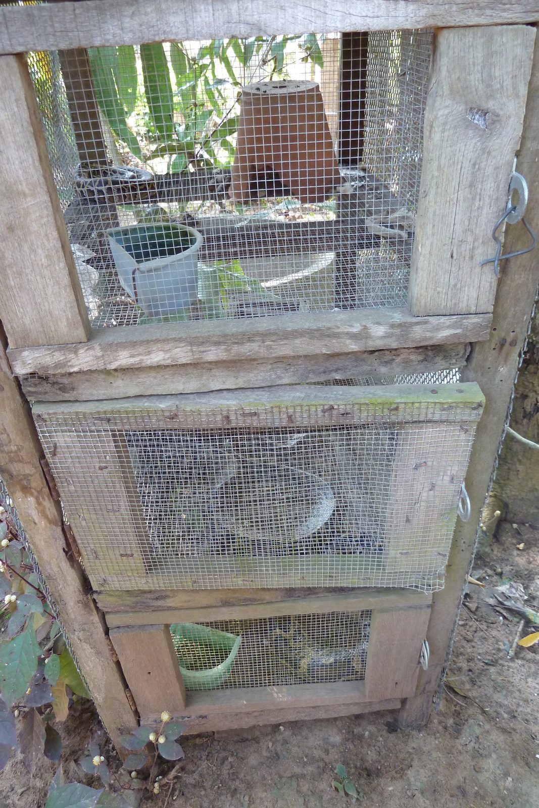 รูปถ่าย ไทย(Thailand) เชียงใหม่(Chiang Mai) ฟาร์มงูแม่สา(Mae Sa Snake Farm) 2010-12 2