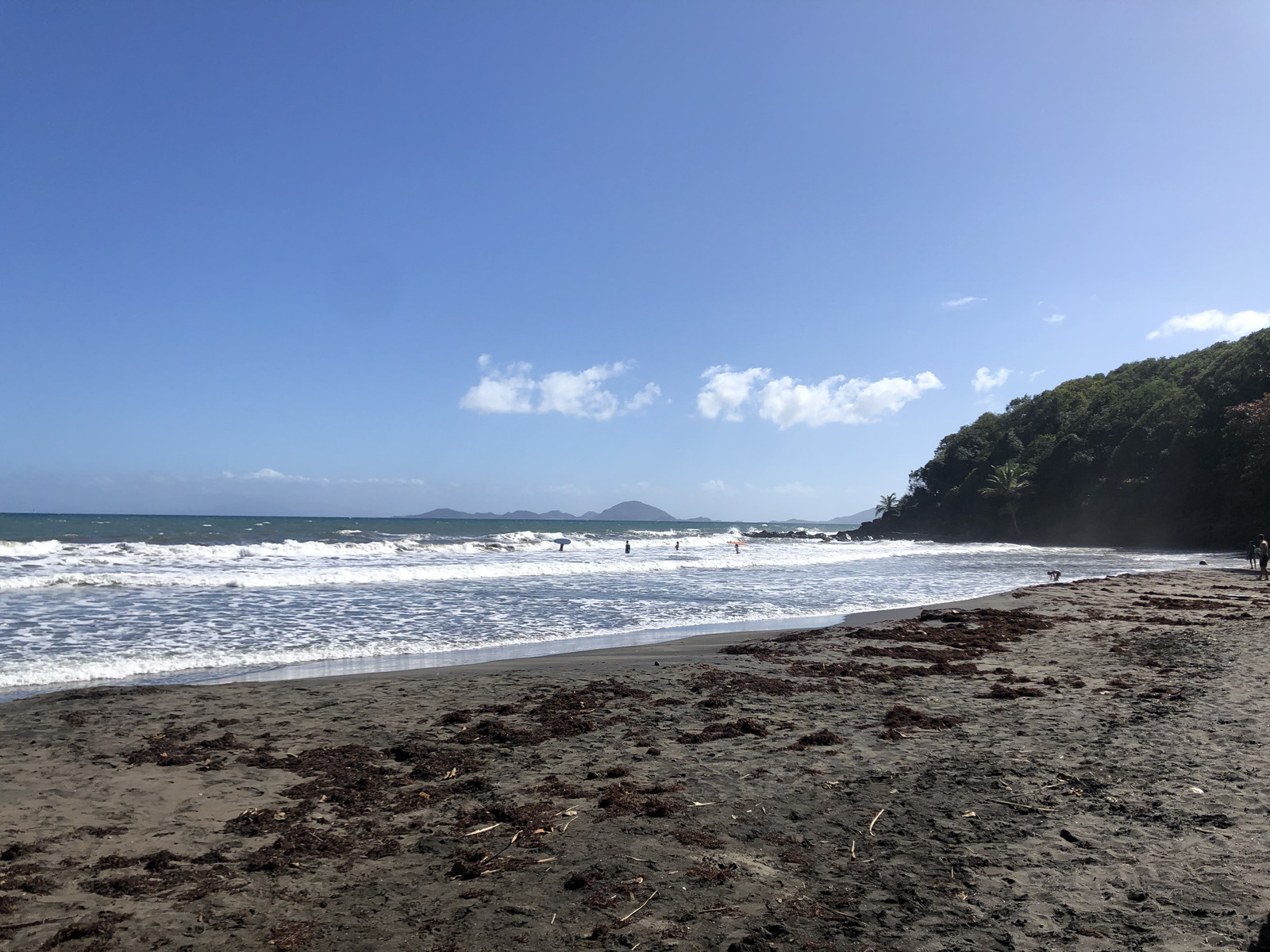 รูปถ่าย กวาเดอลูป(Guadeloupe) บานาเนีย(Bananier) 2021-02 3