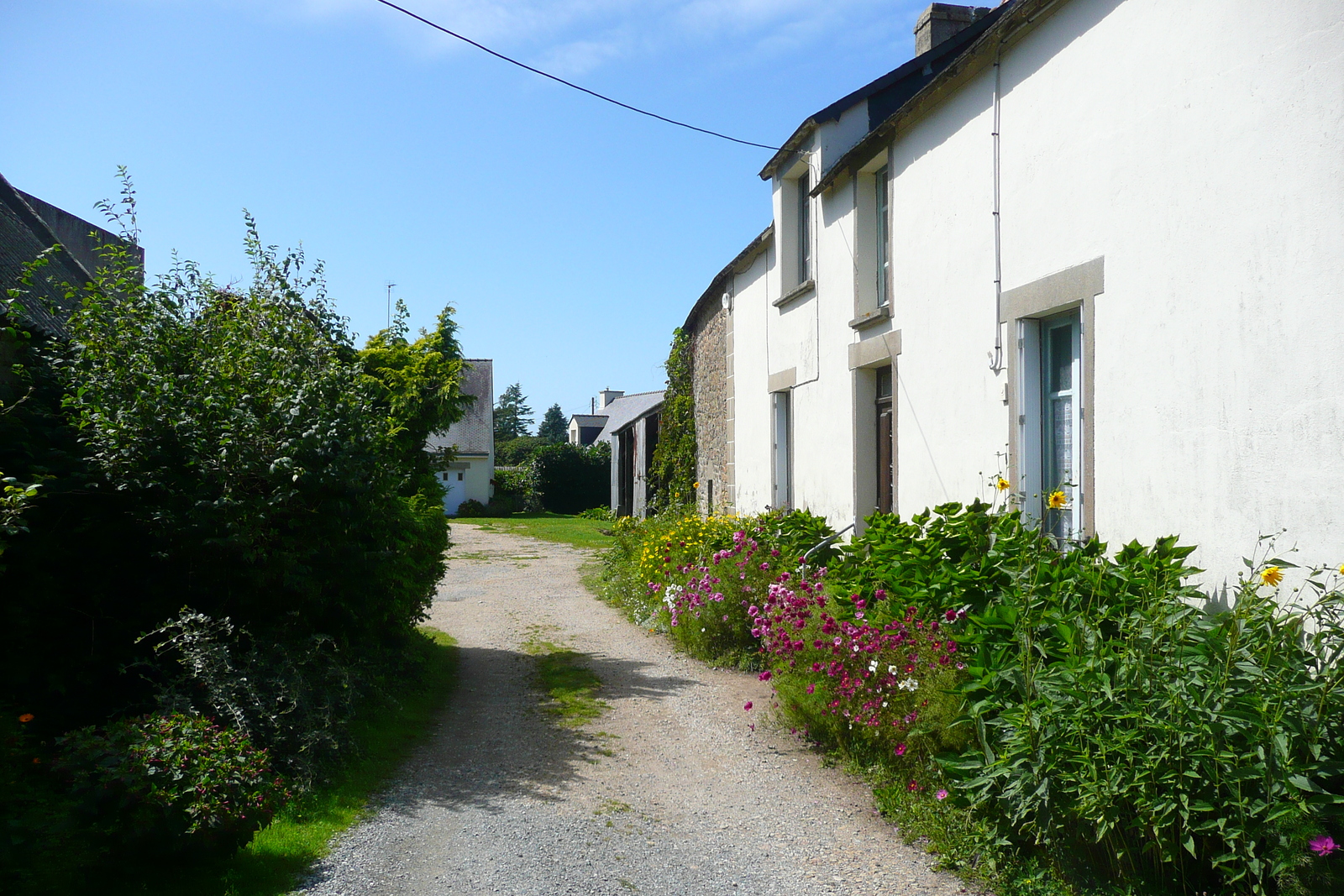 รูปถ่าย ฝรั่งเศส(France) แอร์เดอแวน(Erdeven) 2008-07 7