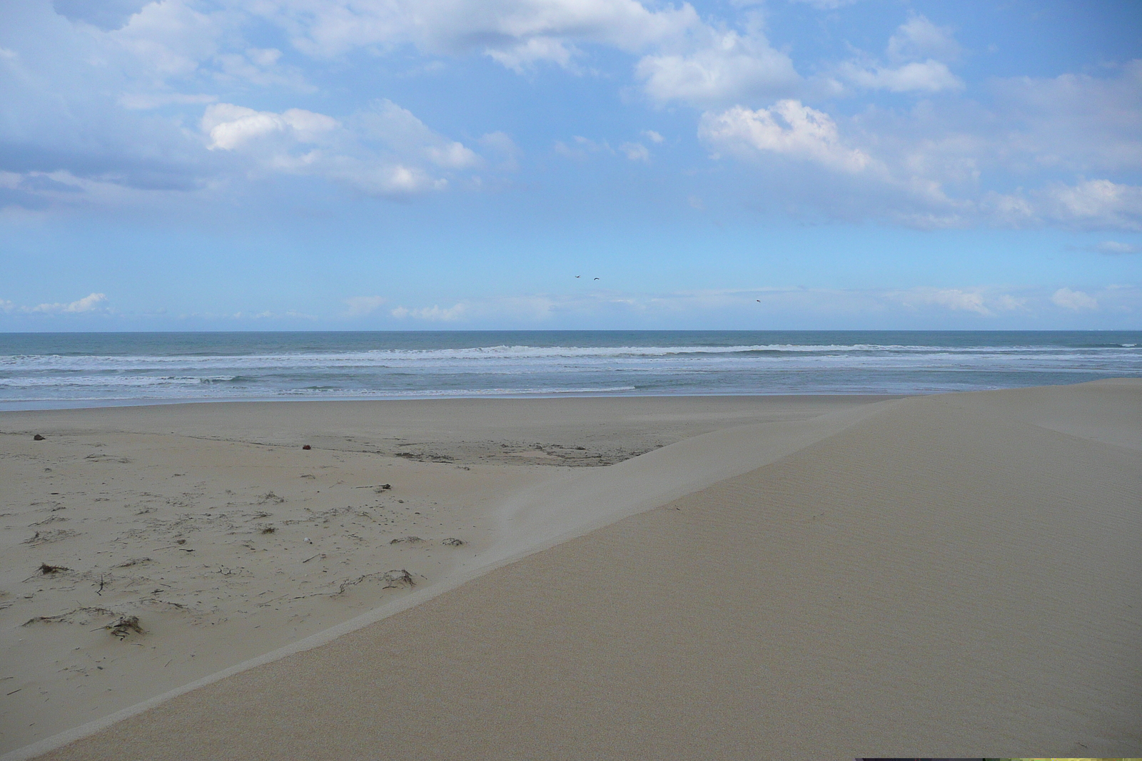 รูปถ่าย แอฟริกาใต้(South Africa) แม่น้ำซันเดส์(Sundays River) 2008-09 46