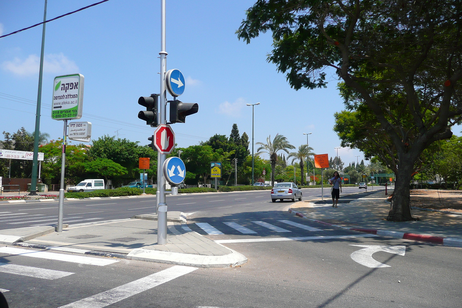 รูปถ่าย อิสราเอล(Israel) เทลอาวีฟ(Tel Aviv) ถนนโรกัค(Rokach Street) 2007-06 23