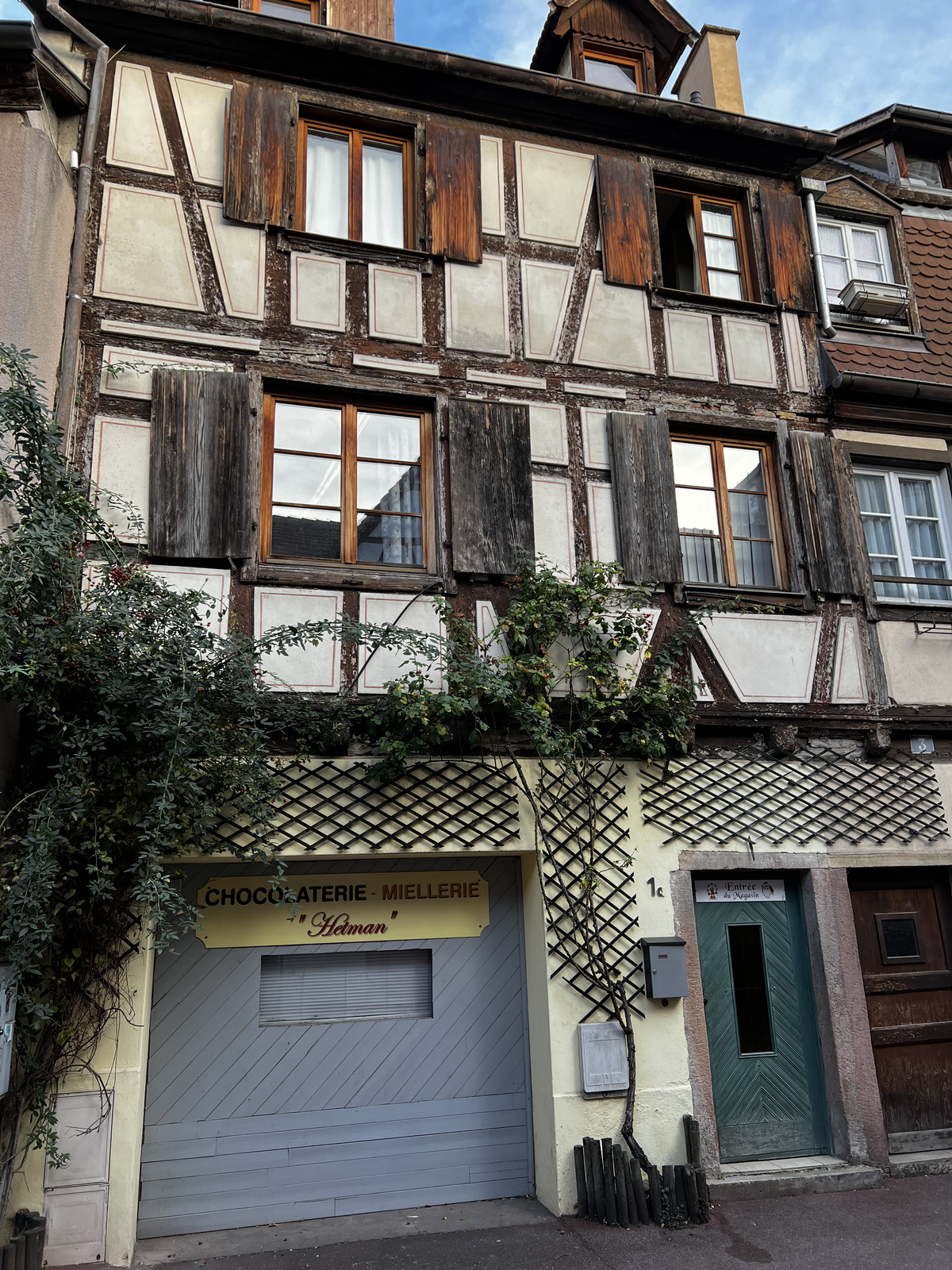 รูปถ่าย ฝรั่งเศส(France) กอลมาร์(Colmar) 2023-10 108