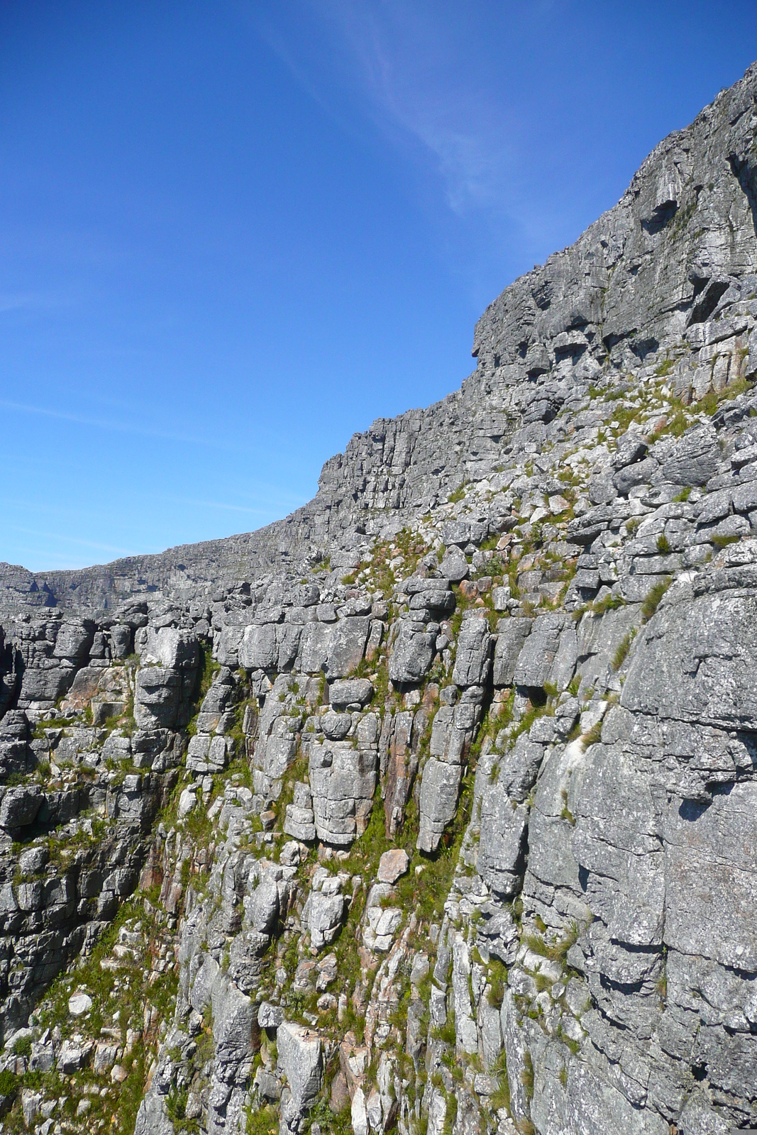 รูปถ่าย แอฟริกาใต้(South Africa) เคปทาวน์(Cape Town) ภูเขาเทเบิล(Table Mountain) 2008-09 32