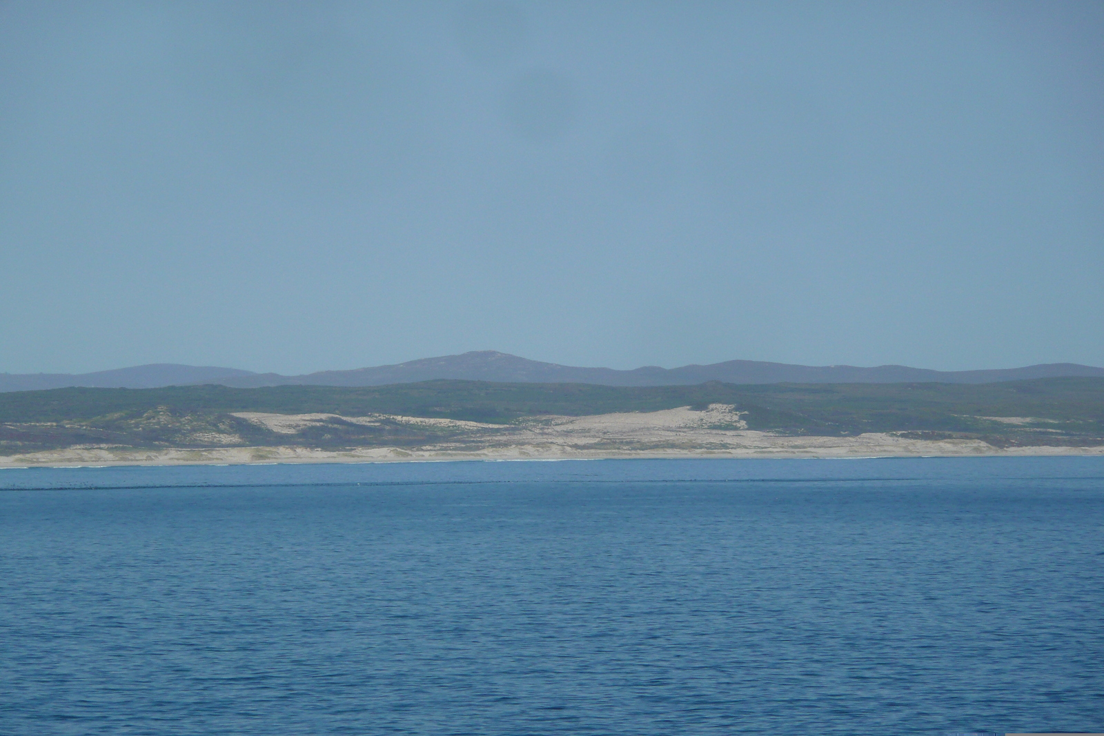 รูปถ่าย แอฟริกาใต้(South Africa) เฮอร์มานัส(Harmanus) 2008-09 307