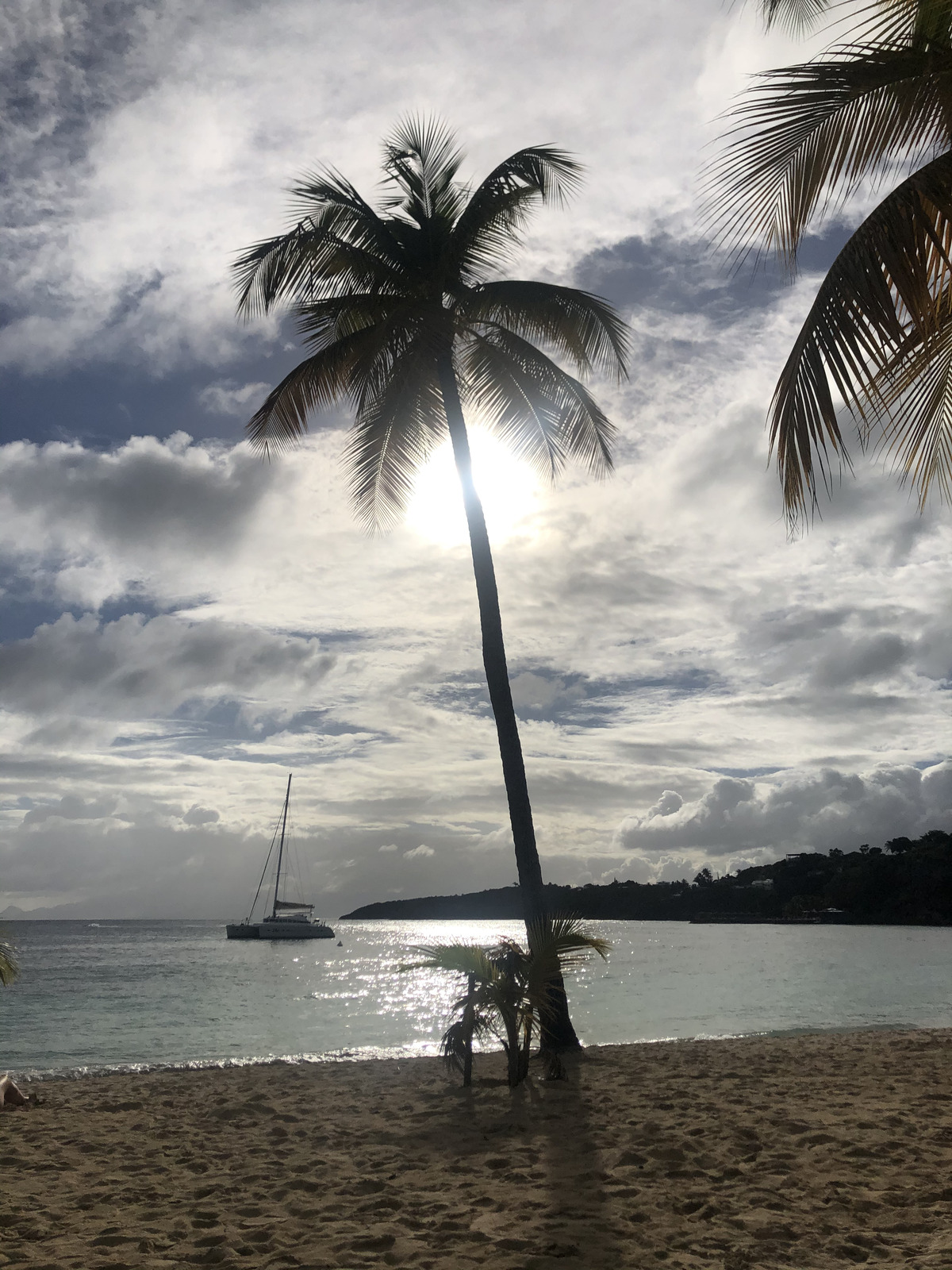 รูปถ่าย กวาเดอลูป(Guadeloupe) หาดลาการาแวล(La Caravelle Beach) 2021-02 102