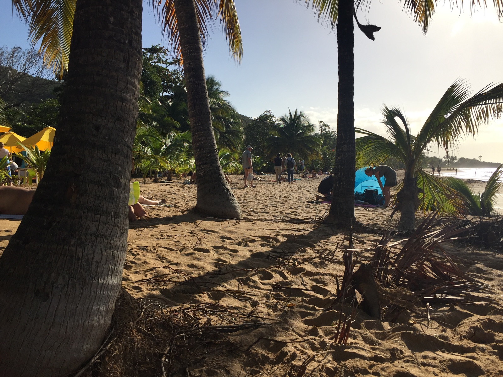 รูปถ่าย กวาเดอลูป(Guadeloupe) หาดลาแปร์ล(La Perle Beach) 2021-02 122