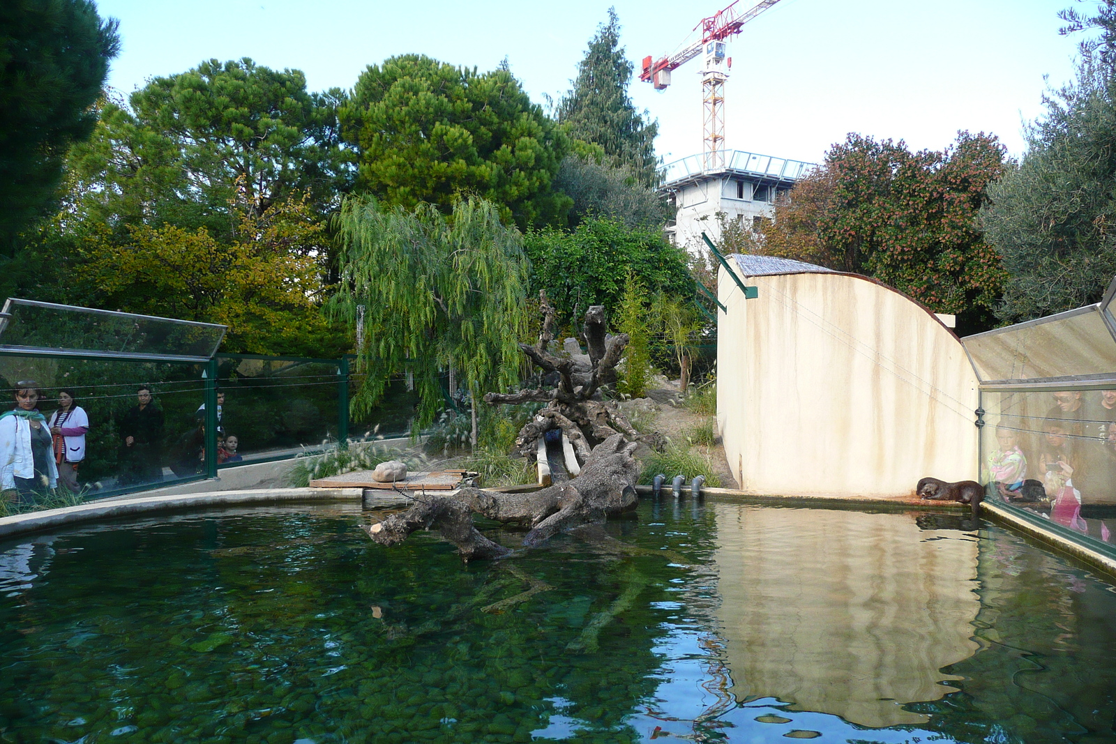 รูปถ่าย ฝรั่งเศส(France) นีส(Nice) สวนฟีนิกซ์(Phoenix Parc) 2007-10 69