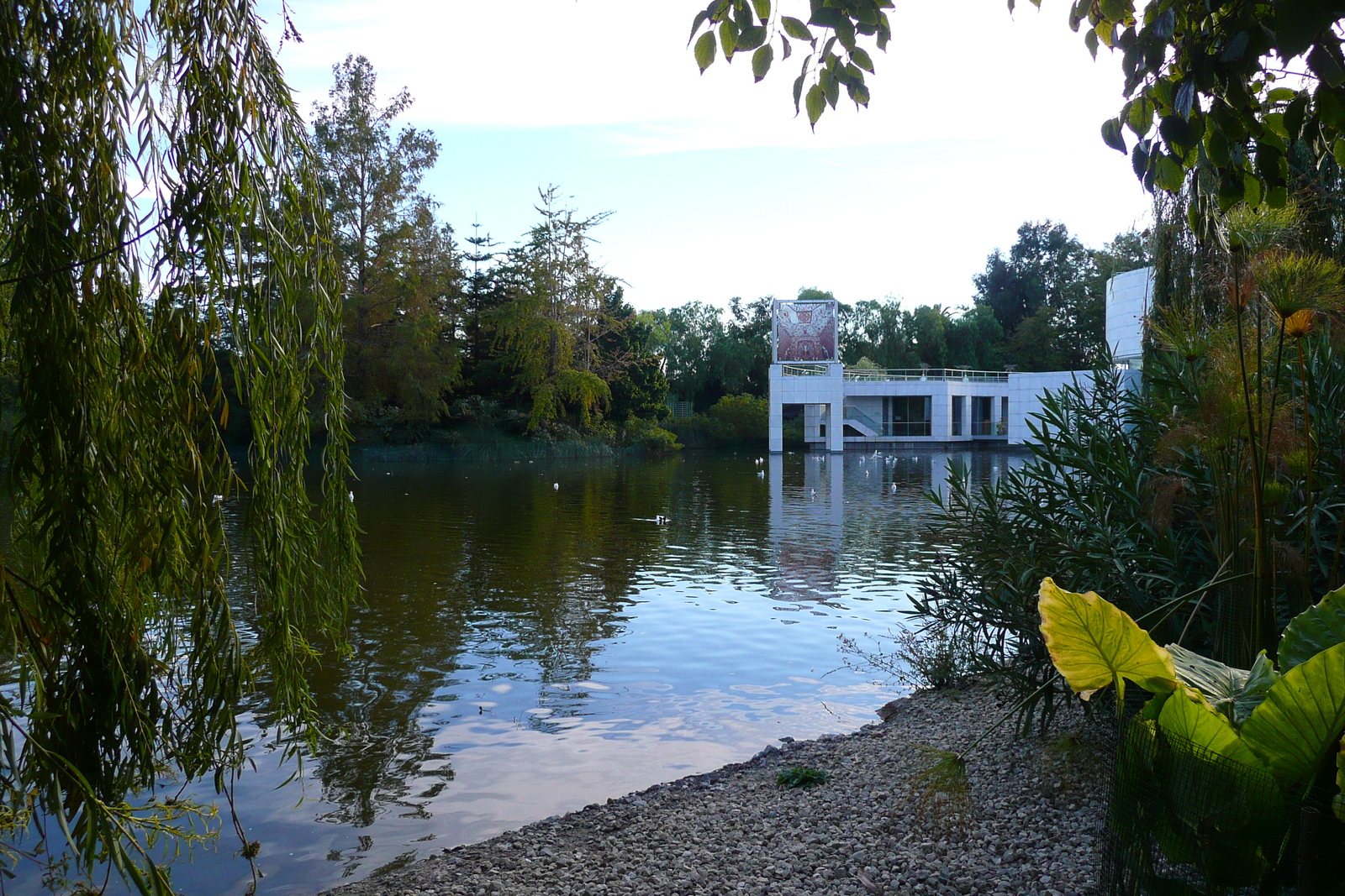 รูปถ่าย ฝรั่งเศส(France) นีส(Nice) สวนฟีนิกซ์(Phoenix Parc) 2007-10 77