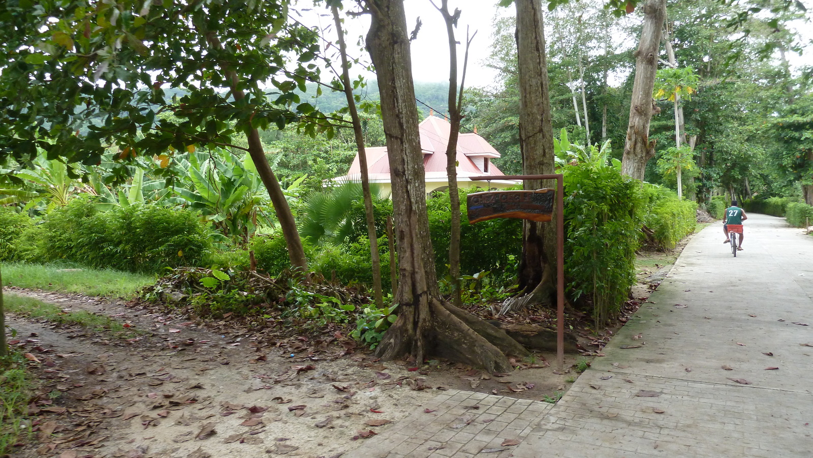 รูปถ่าย เซเชลส์(Seychelles) เกาะลาดีก(La Digue) 2011-10 42