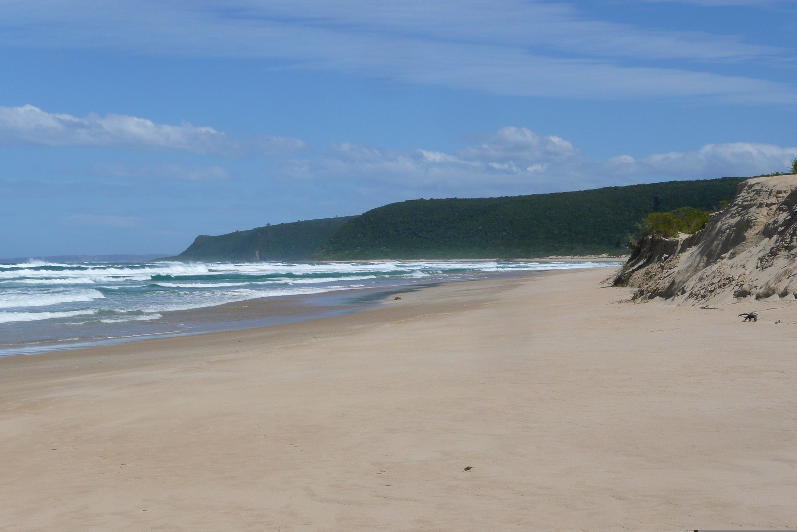 รูปถ่าย แอฟริกาใต้(South Africa) หุบเขาเนเจอร์ส(Nature's Valley) 2008-09 83