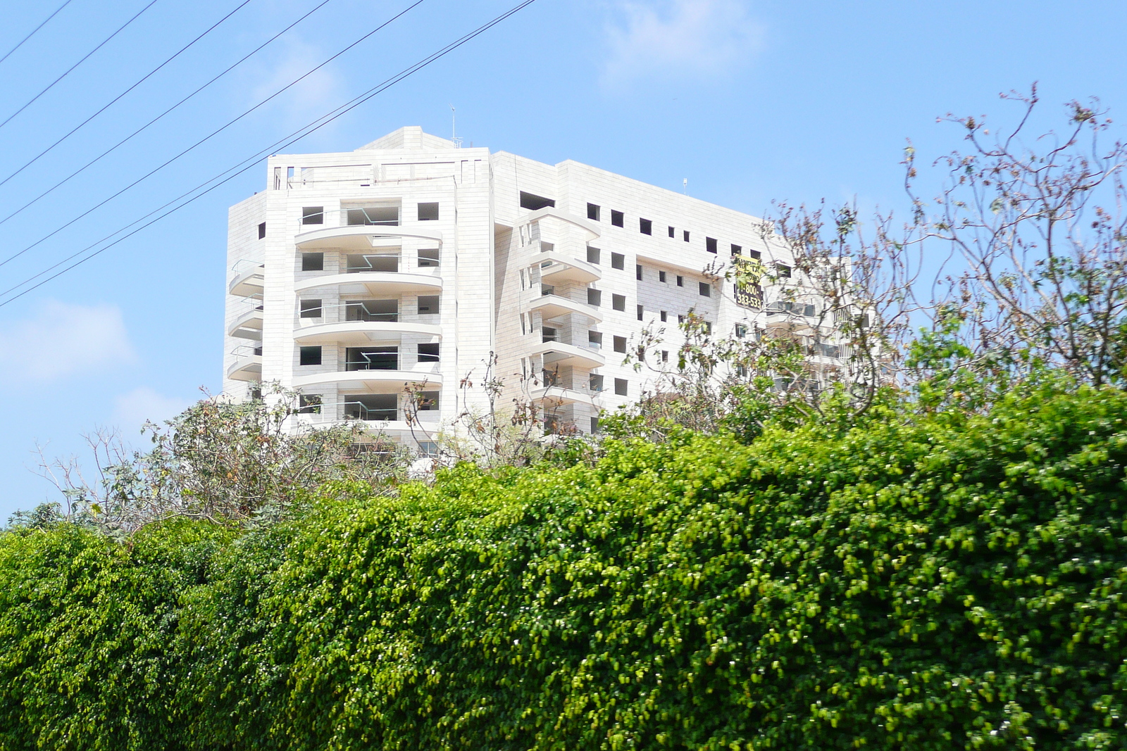 รูปถ่าย อิสราเอล(Israel) เทลอาวีฟ(Tel Aviv) ถนนโรกัค(Rokach Street) 2007-06 33