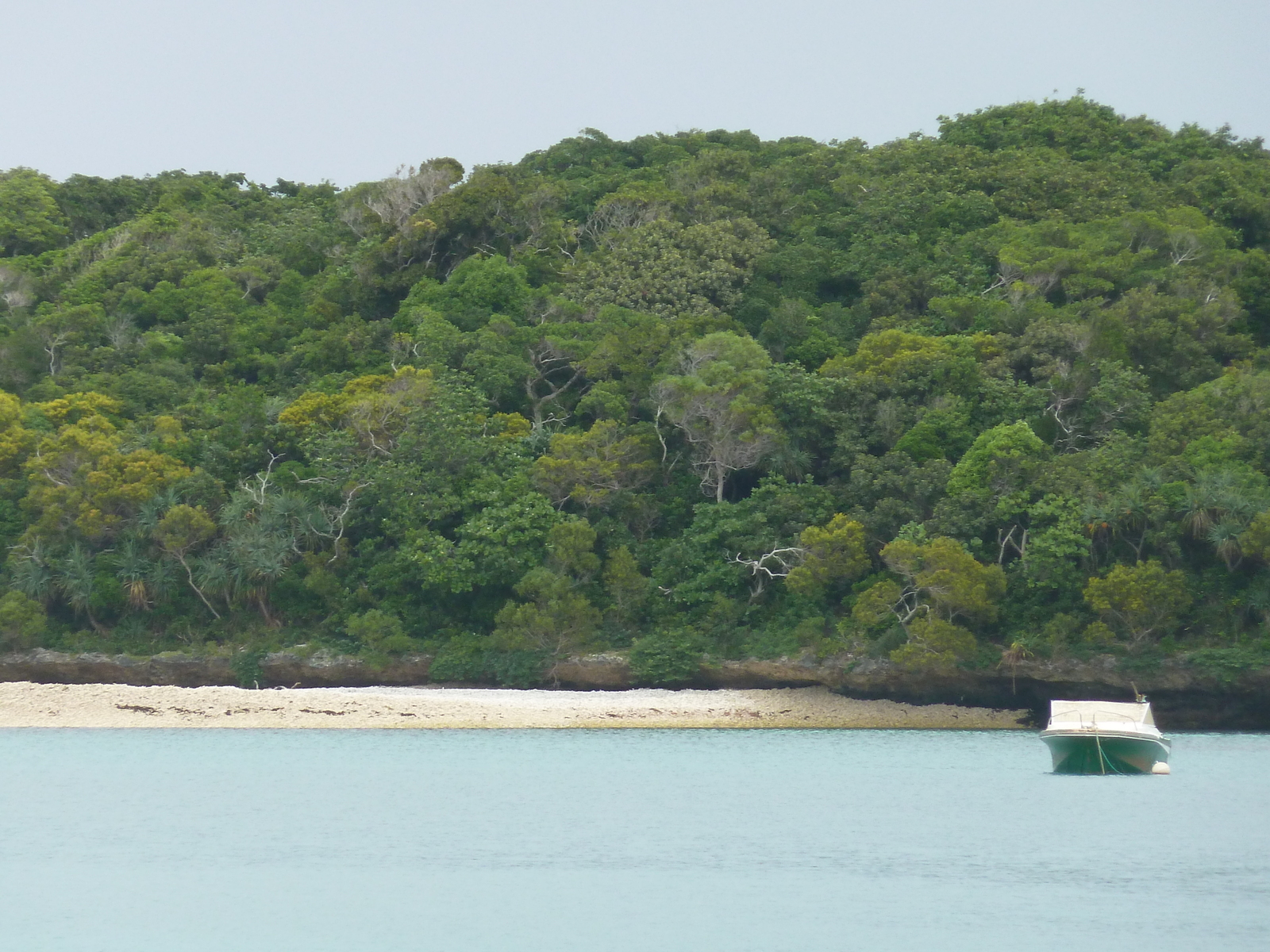 รูปถ่าย นิวแคลิโดเนีย(New Caledonia) เกาะต้นสน(Ile des pins) หาดคูโต(Kuto Beach) 2010-05 41
