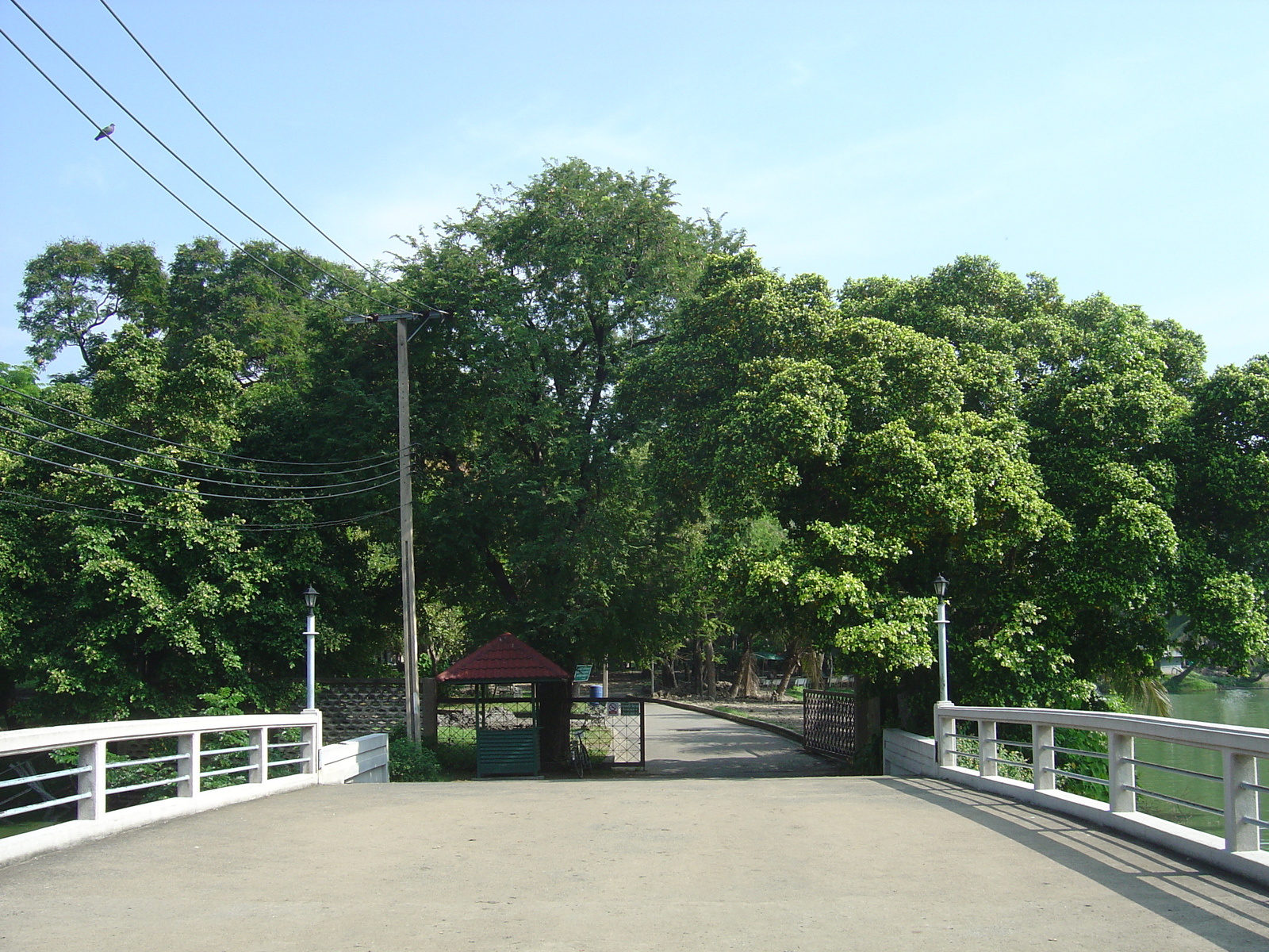 รูปถ่าย ไทย(Thailand) กรุงเทพมหานคร(Bangkok) สวนลุมพินี(Lumpini Park) 2005-12 19