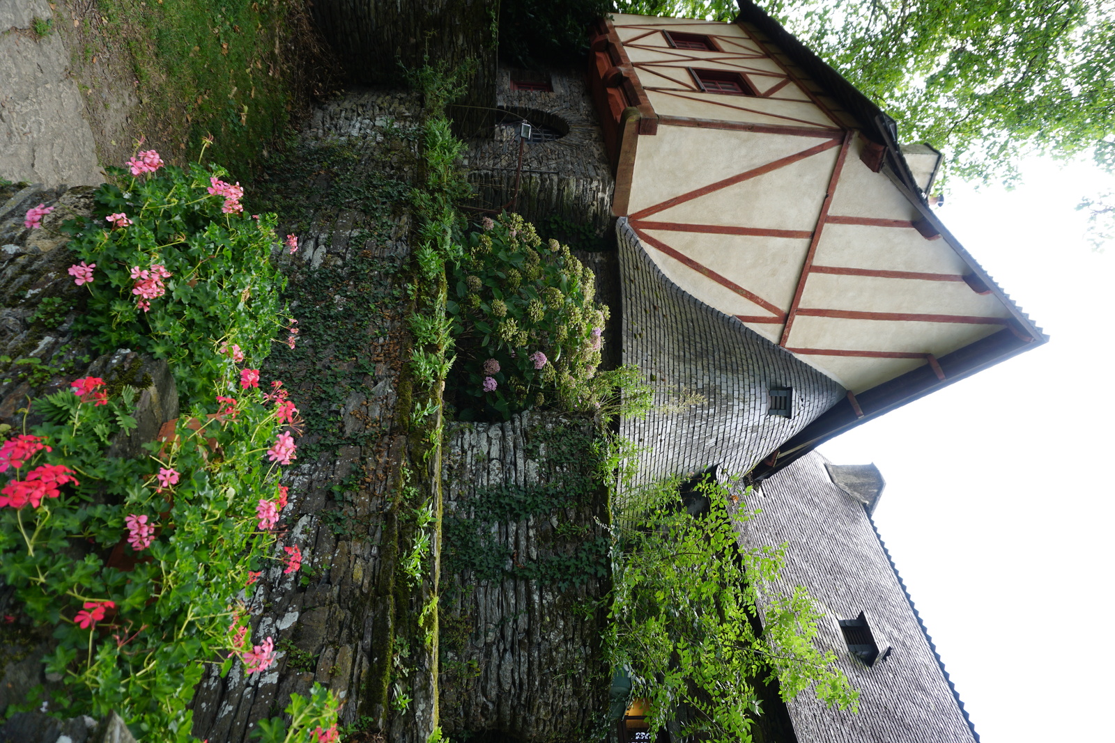 รูปถ่าย ฝรั่งเศส(France) รอชฟอร์-อ็อง-แตร์(Rochefort en terre) 2017-08 17