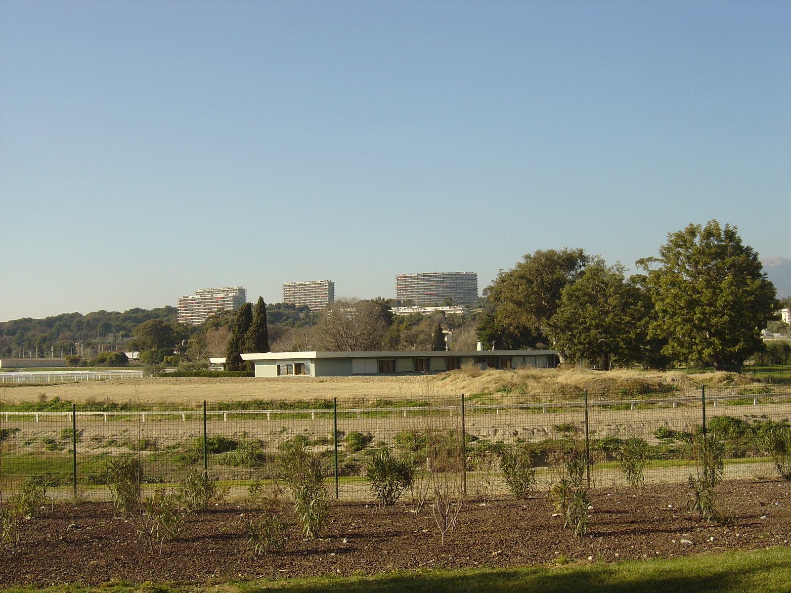 รูปถ่าย ฝรั่งเศส(France) คาญ-ซูร์-แมร์(Cagnes sur Mer) 2006-01 31