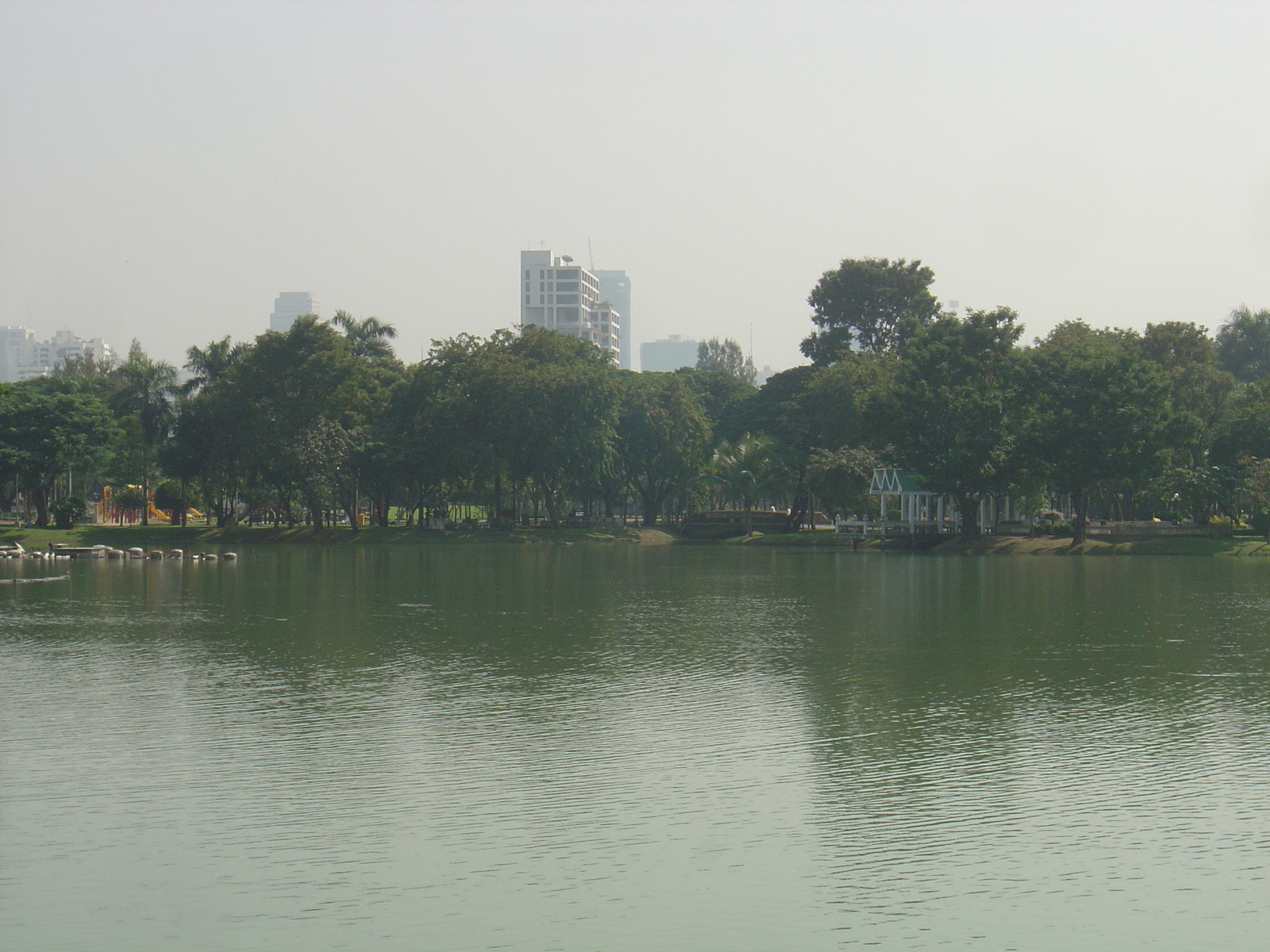 รูปถ่าย ไทย(Thailand) กรุงเทพมหานคร(Bangkok) สวนลุมพินี(Lumpini Park) 2005-12 20