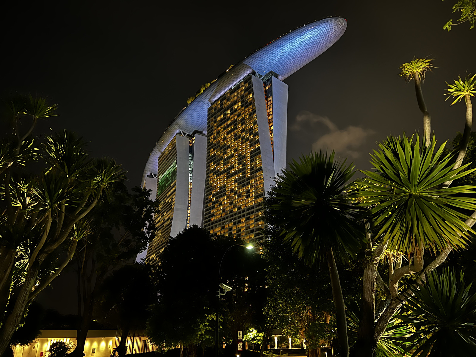 รูปถ่าย สิงคโปร์(Singapore) การ์เดนส์บายเดอะเบย์(Garden by the bay) 2023-01 40