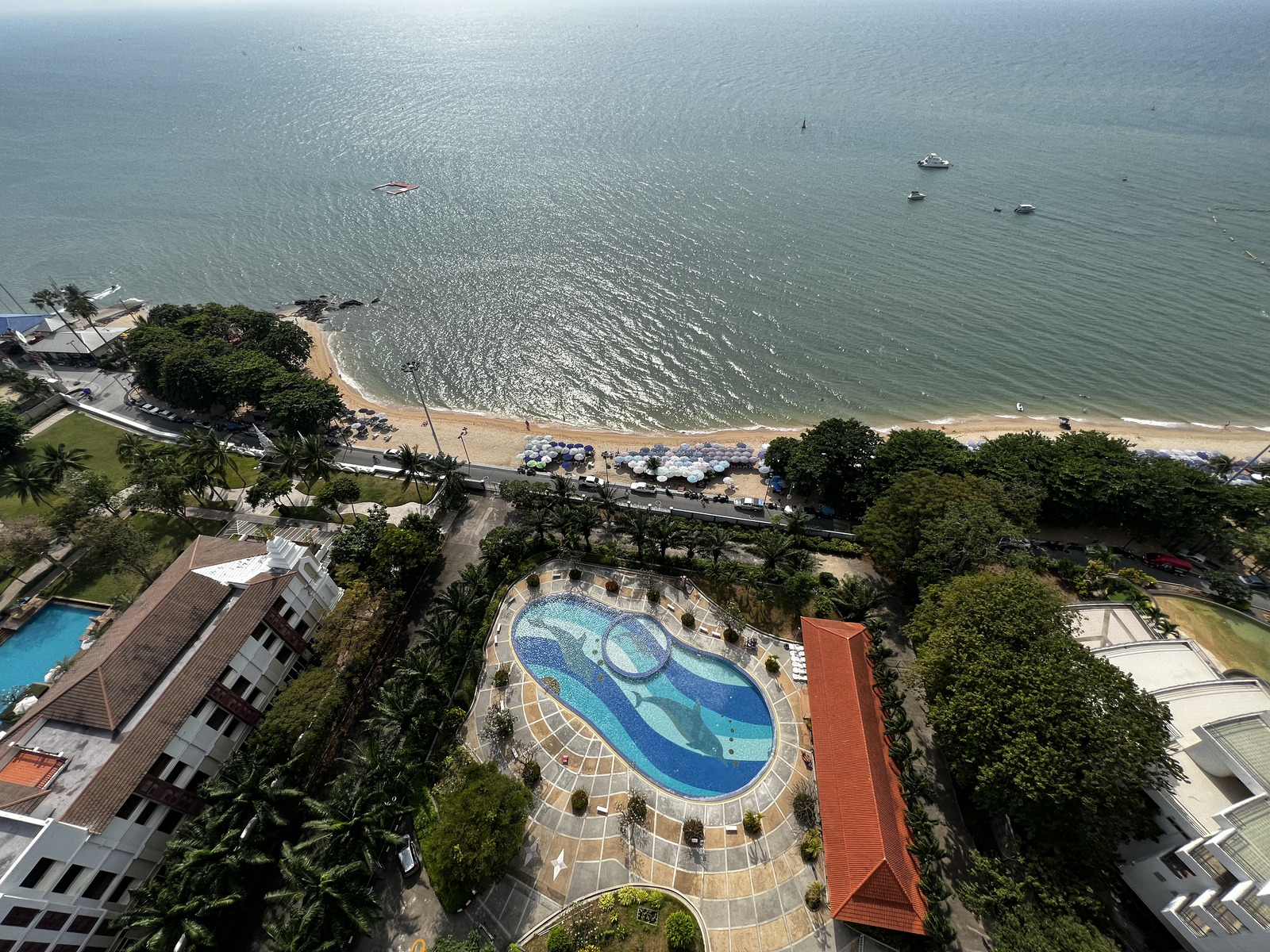 รูปถ่าย ไทย(Thailand) พัทยา(Pattaya) 2022-12 20