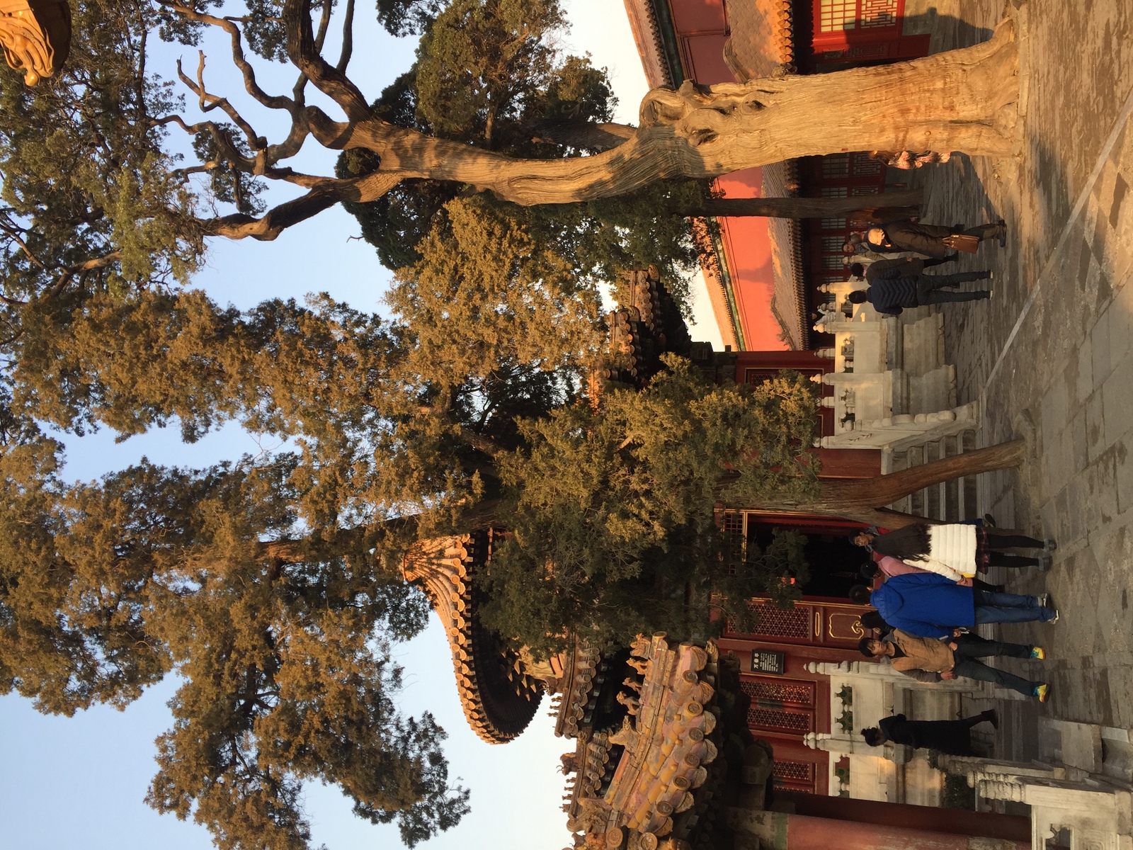 รูปถ่าย จีน(China) ปักกิ่ง(Beijing) พระราชวังต้องห้าม(Forbidden City) 2015-12 200