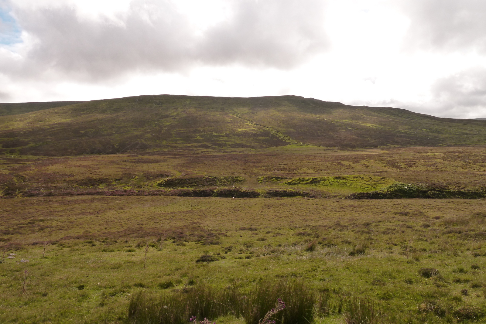 รูปถ่าย อังกฤษ(United Kingdom) เกาะสกาย(Skye) 2011-07 186