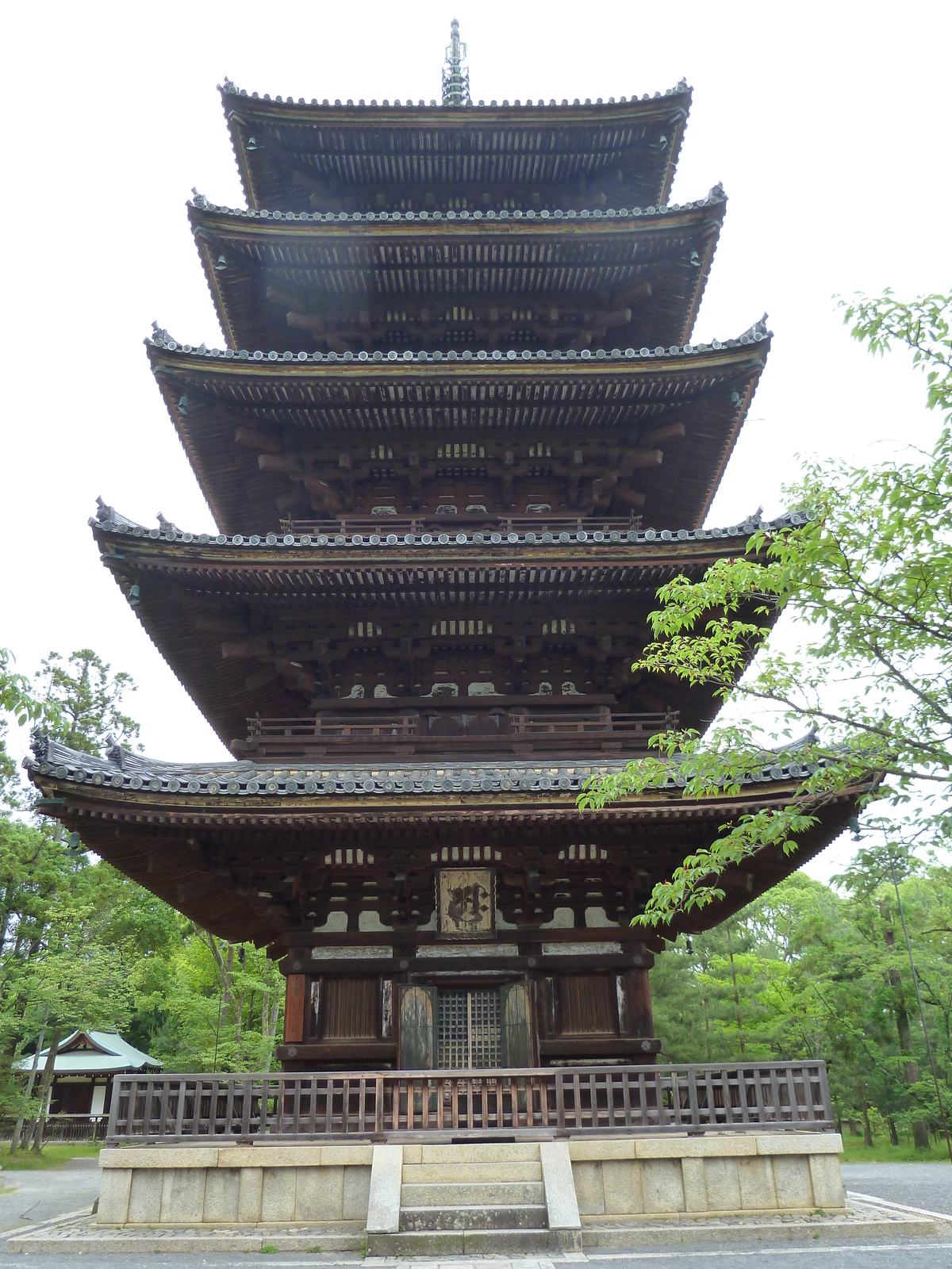 รูปถ่าย ญี่ปุ่น(Japan) เกียวโต(Kyoto) วัดนินนะจิ(Ninna ji Temple) 2010-06 29