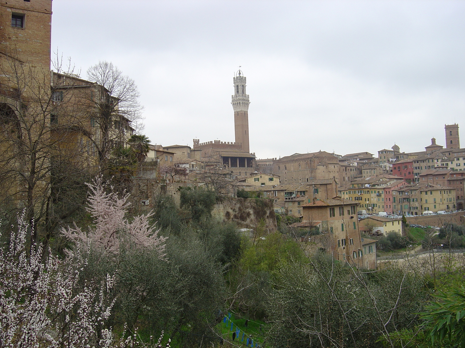 รูปถ่าย อิตาลี(Italy) ซีเอน่า(Siena) 2004-03 4