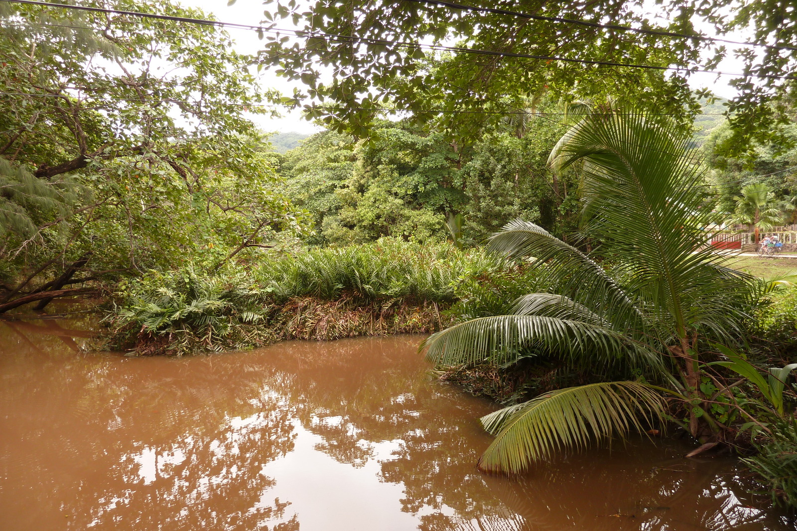 รูปถ่าย เซเชลส์(Seychelles) เกาะลาดีก(La Digue) 2011-10 28