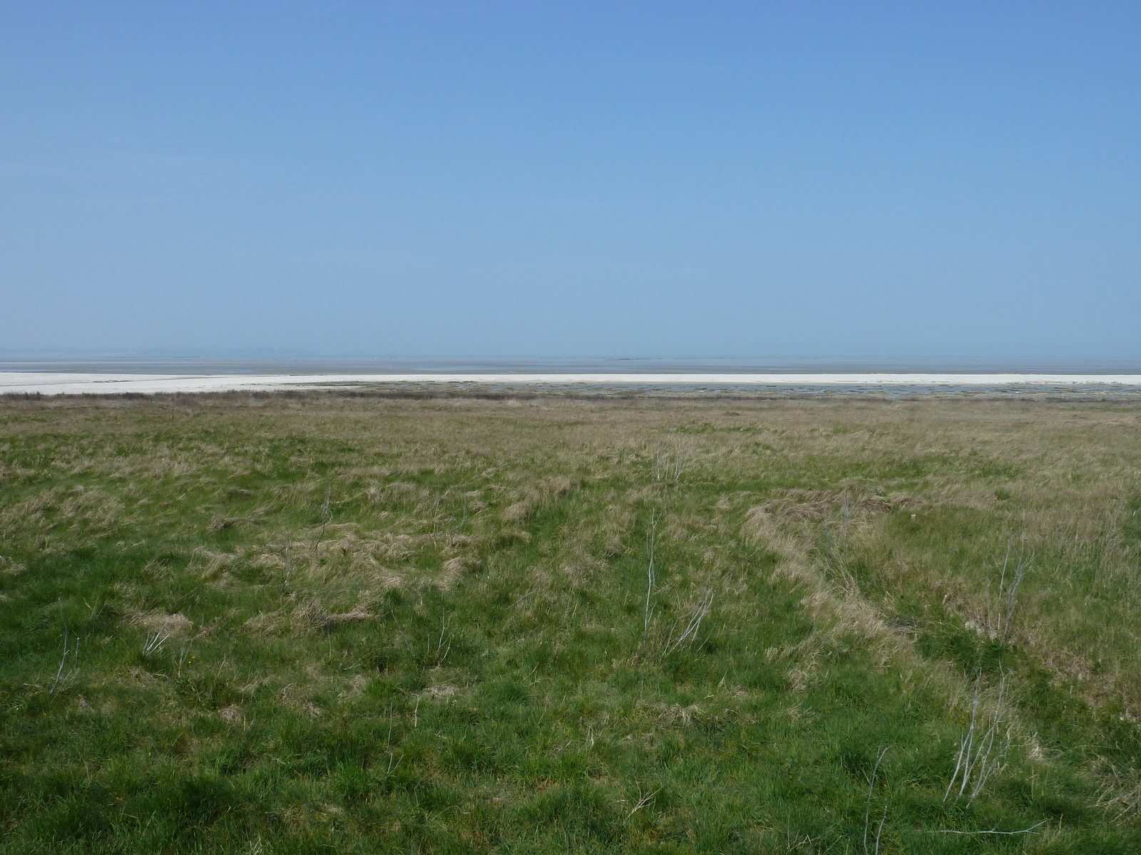 รูปถ่าย ฝรั่งเศส(France) ก็องกาล(Cancale) 2010-04 80