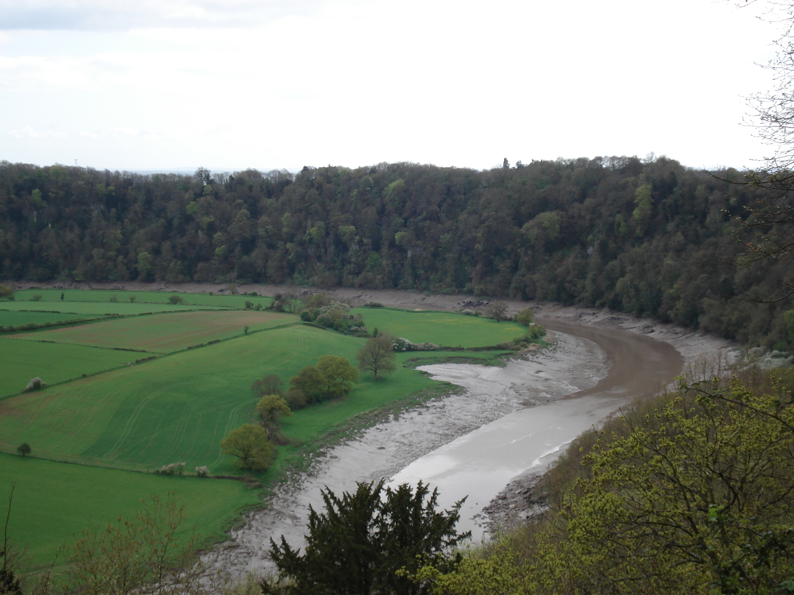 รูปถ่าย อังกฤษ(United Kingdom) หุบเขาไวย์(Wye Valley) 2006-05 4