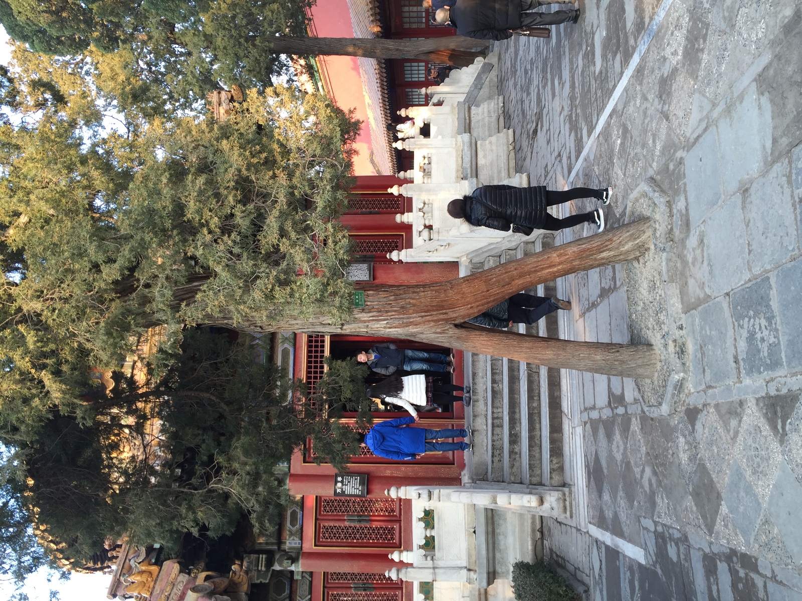 รูปถ่าย จีน(China) ปักกิ่ง(Beijing) พระราชวังต้องห้าม(Forbidden City) 2015-12 7