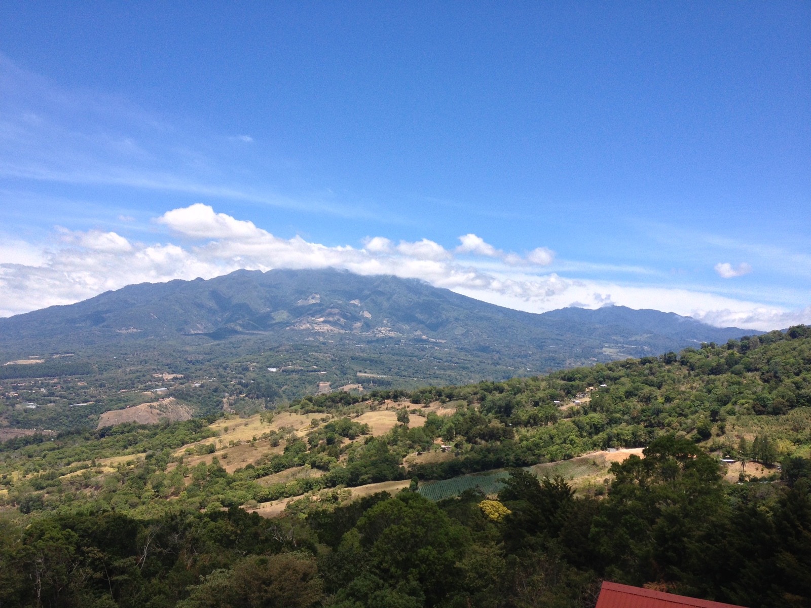 รูปถ่าย ปานามา(Panama) โบเกเต(Boquete) 2015-03 125