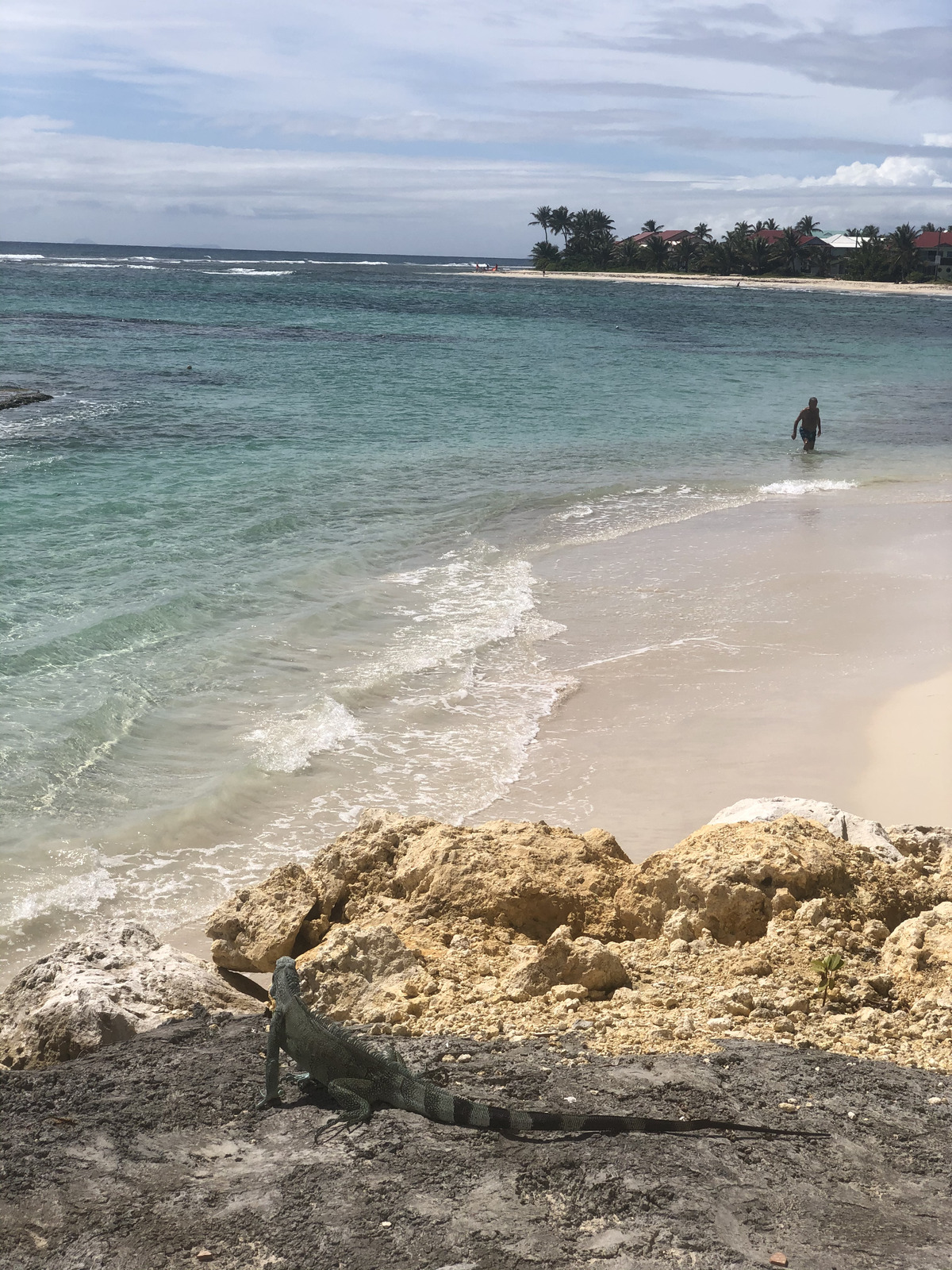 รูปถ่าย กวาเดอลูป(Guadeloupe) แซ็งฟร็องซัว(Saint Francois) 2021-02 12